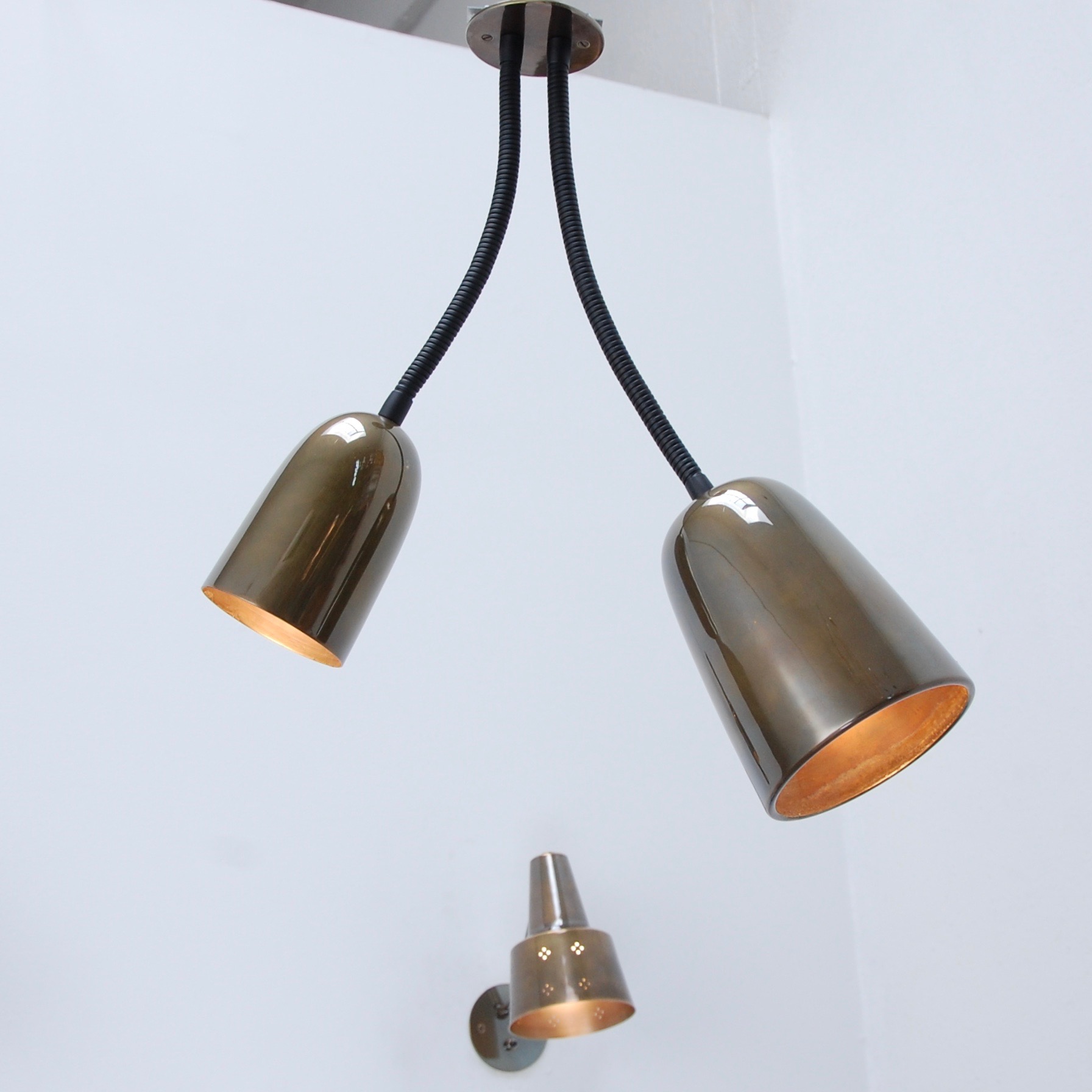 DoubleConeCeilingGooseneck8.jpeg