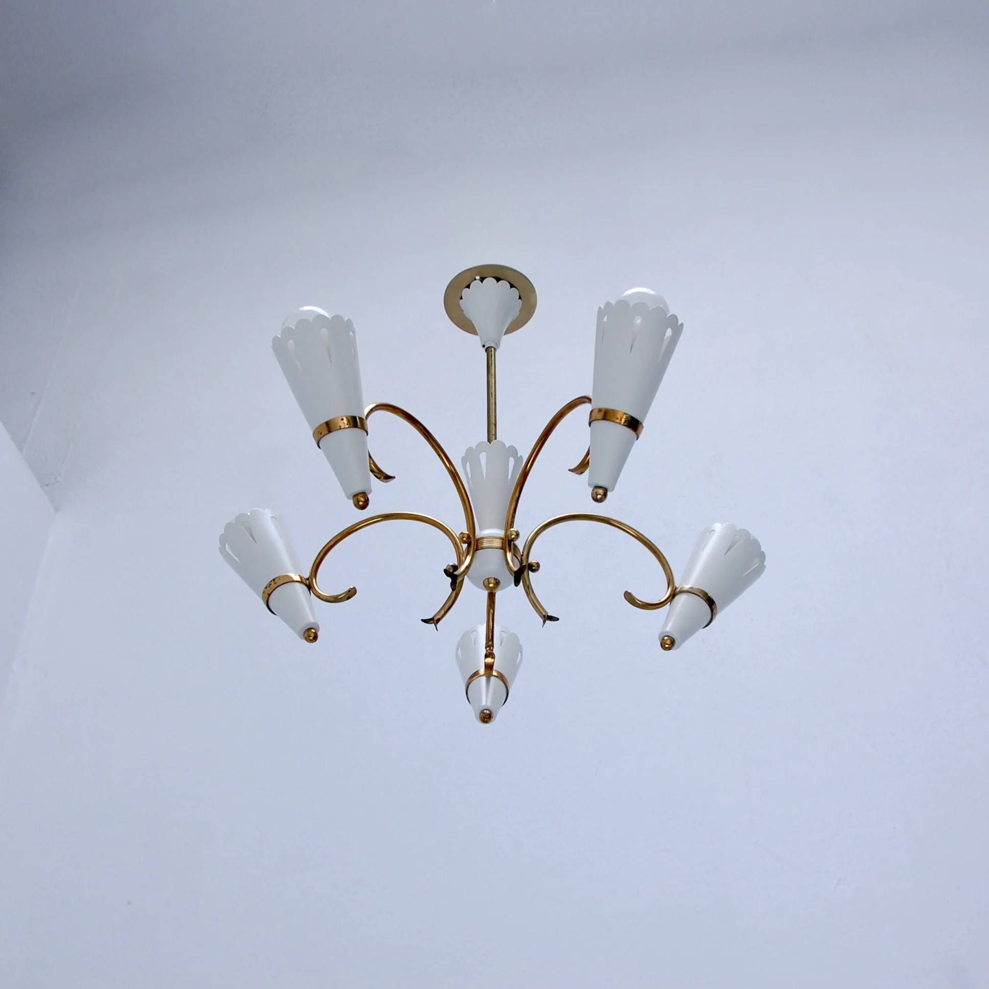 SmallBotanicalChandelier3.jpeg