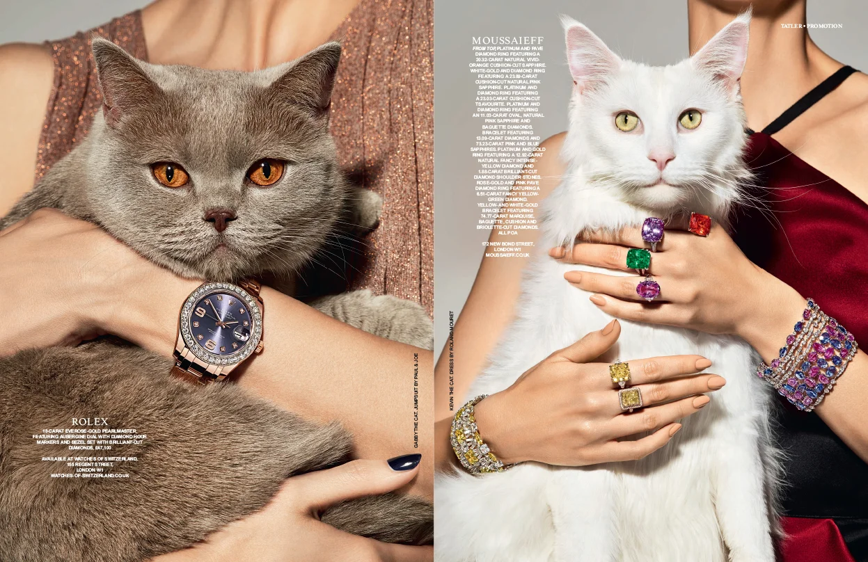 Aristo cats, Rolex, Moussaieff  -  Samantha Brownstein Design Ltd