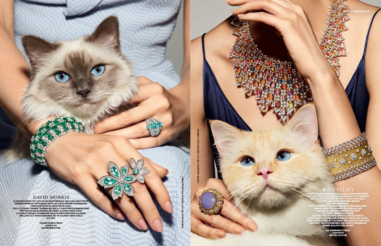 Aristo cats, David Morris, Buccellati -  Samantha Brownstein Design Ltd