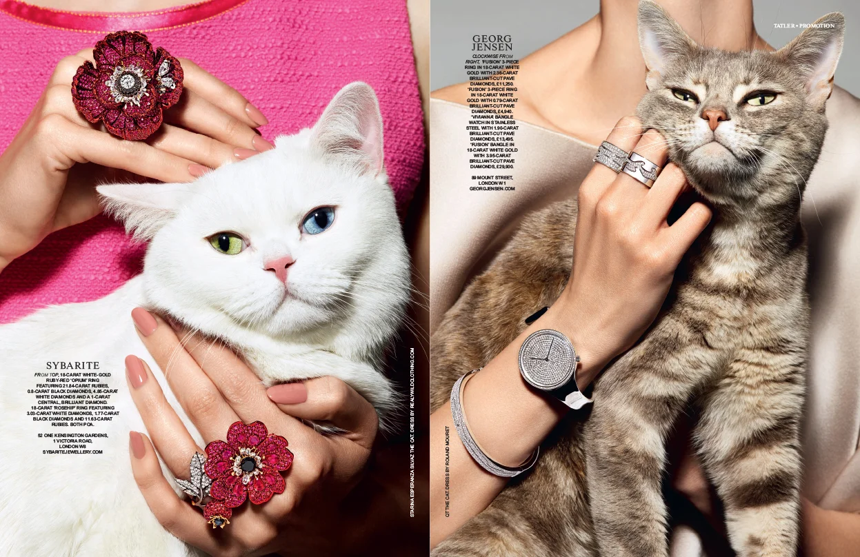 Aristo cats, Sybarite, George Jensen -  Samantha Brownstein Design Ltd