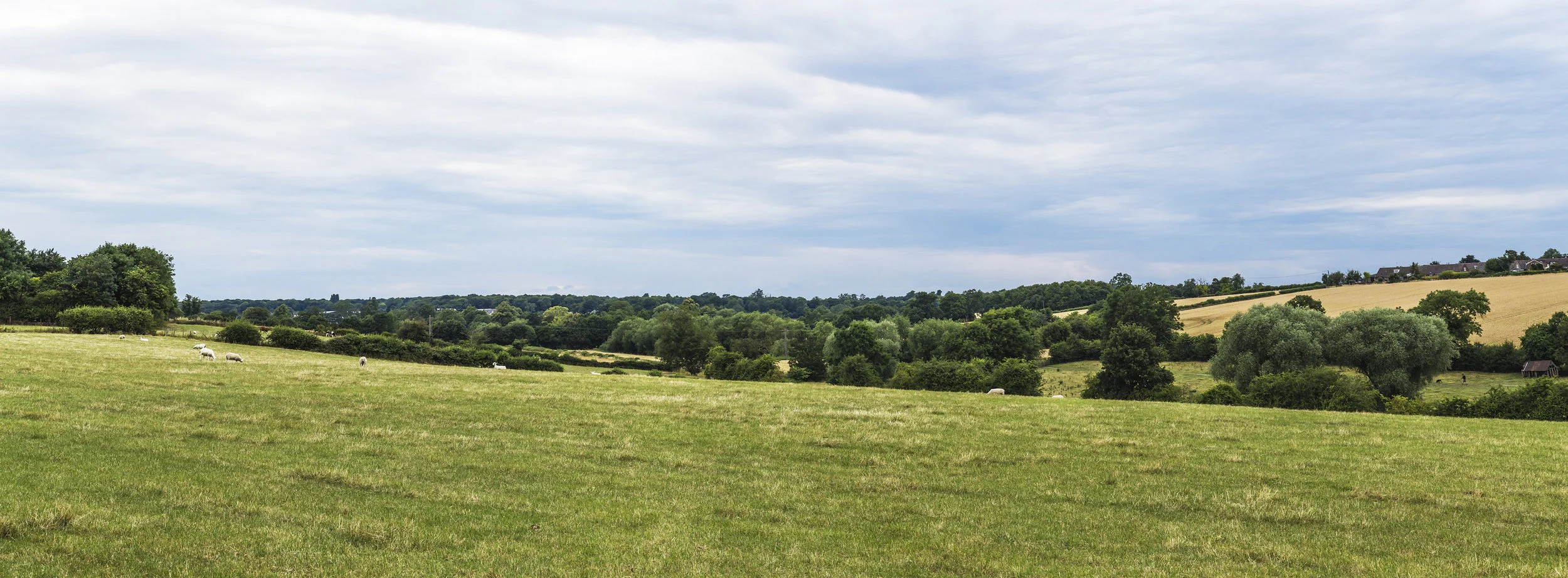 southam_panoramic.jpg