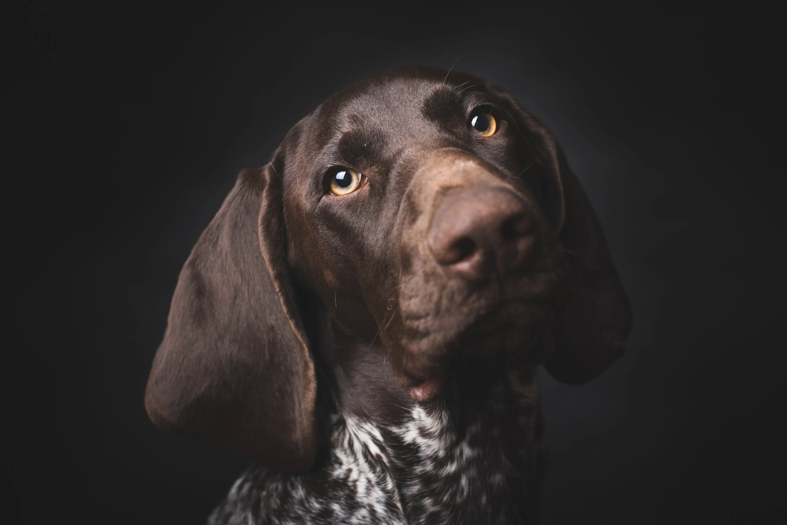 AdobeStock_96330881.jpeg