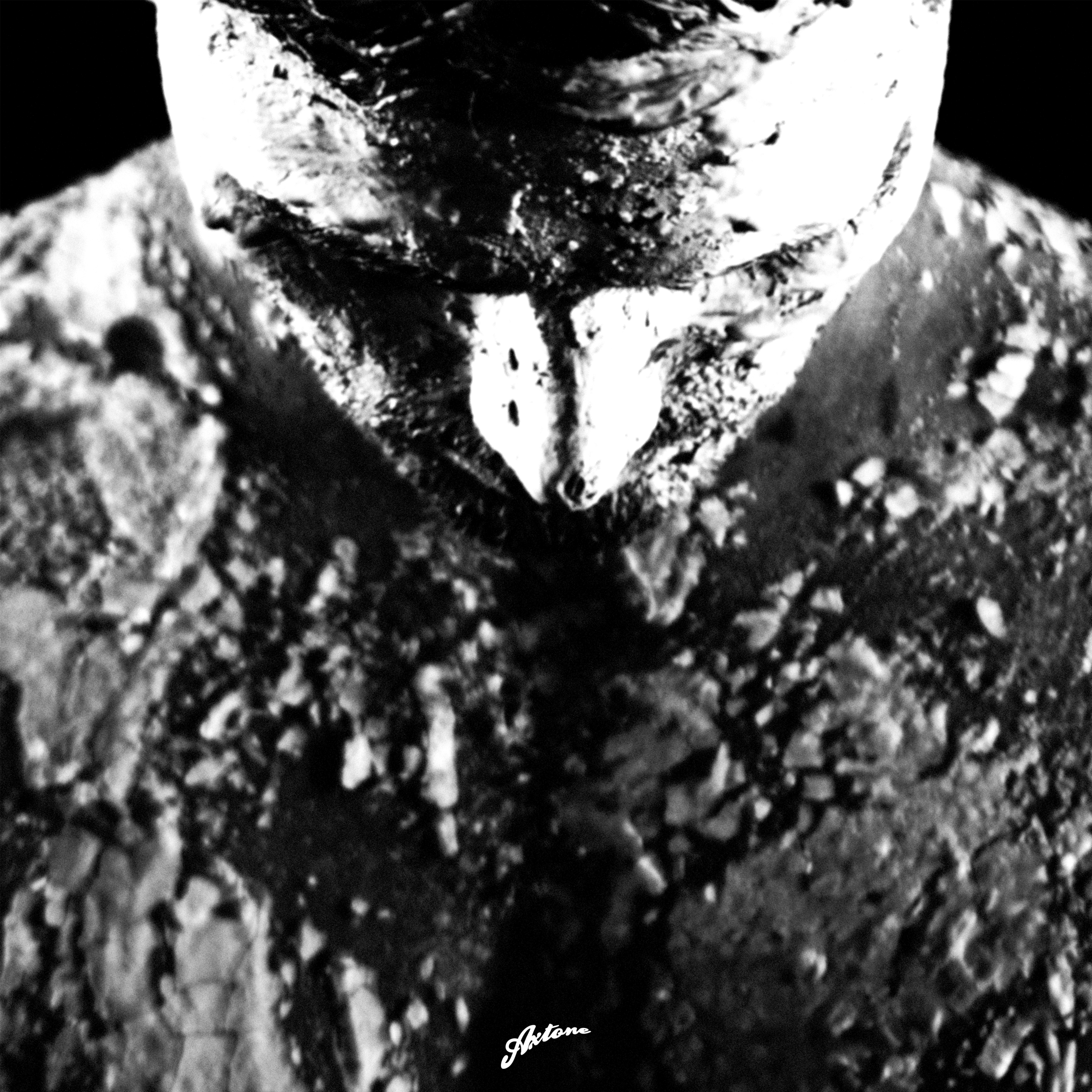 Magnificence &amp; Goja - Lights