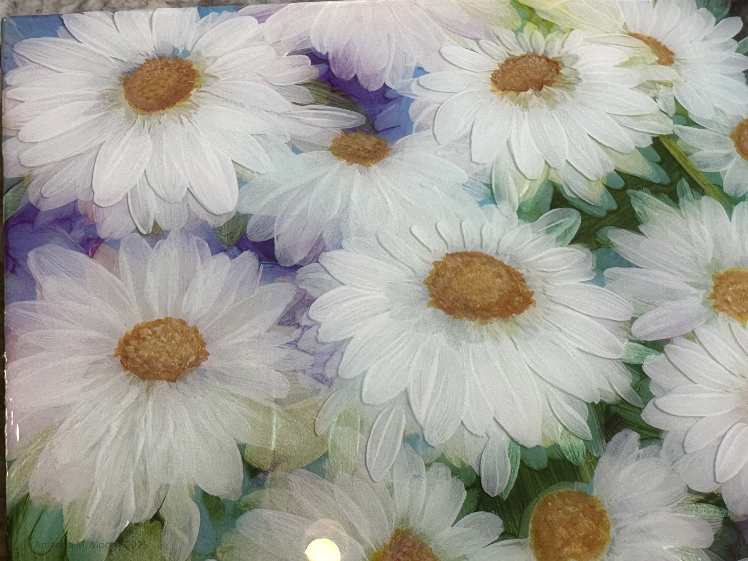 rainbow daisies detail.jpg