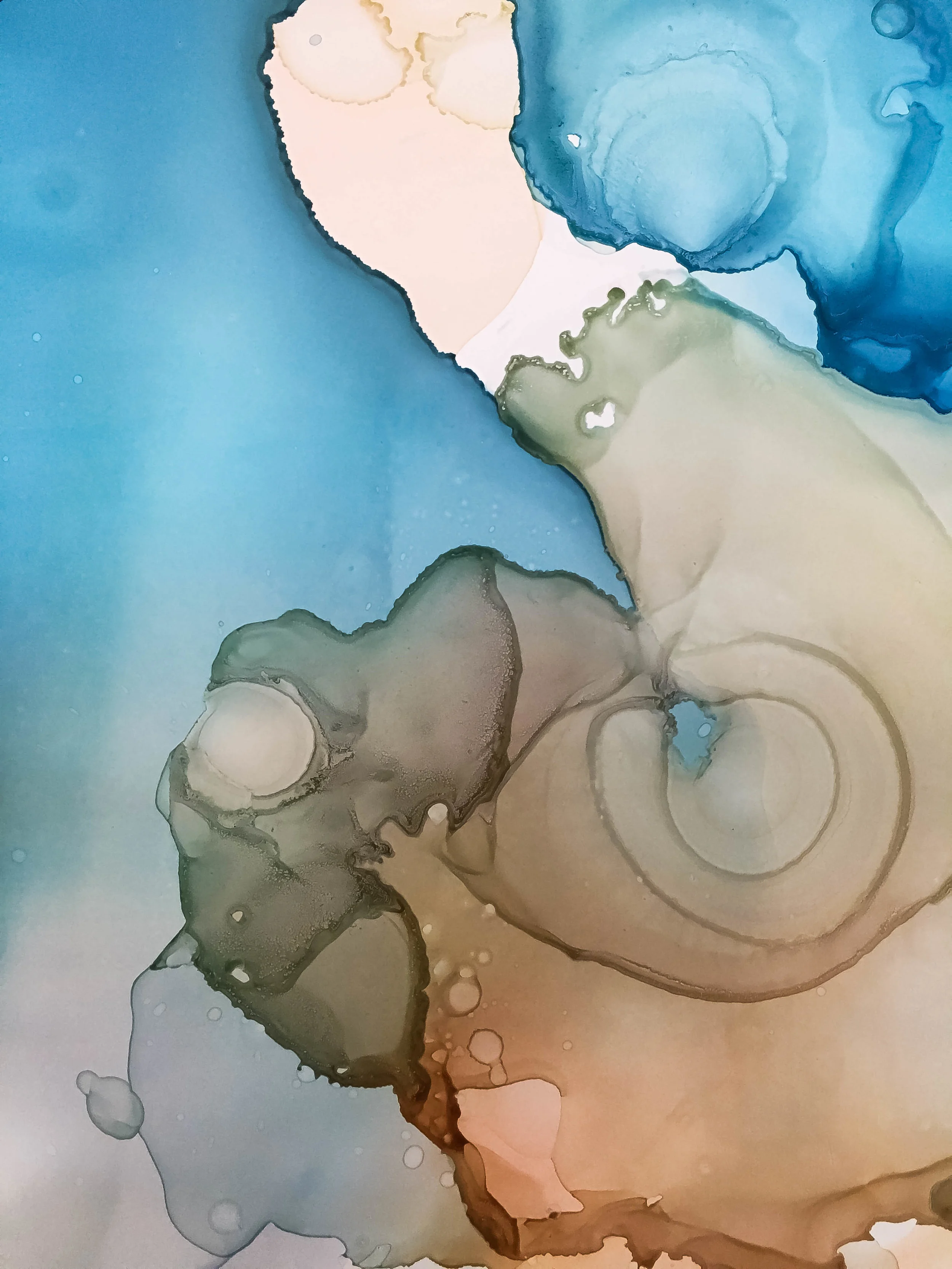 detail of capricorn ink diptych on Claybord by North Carolina artist Amanda Moody