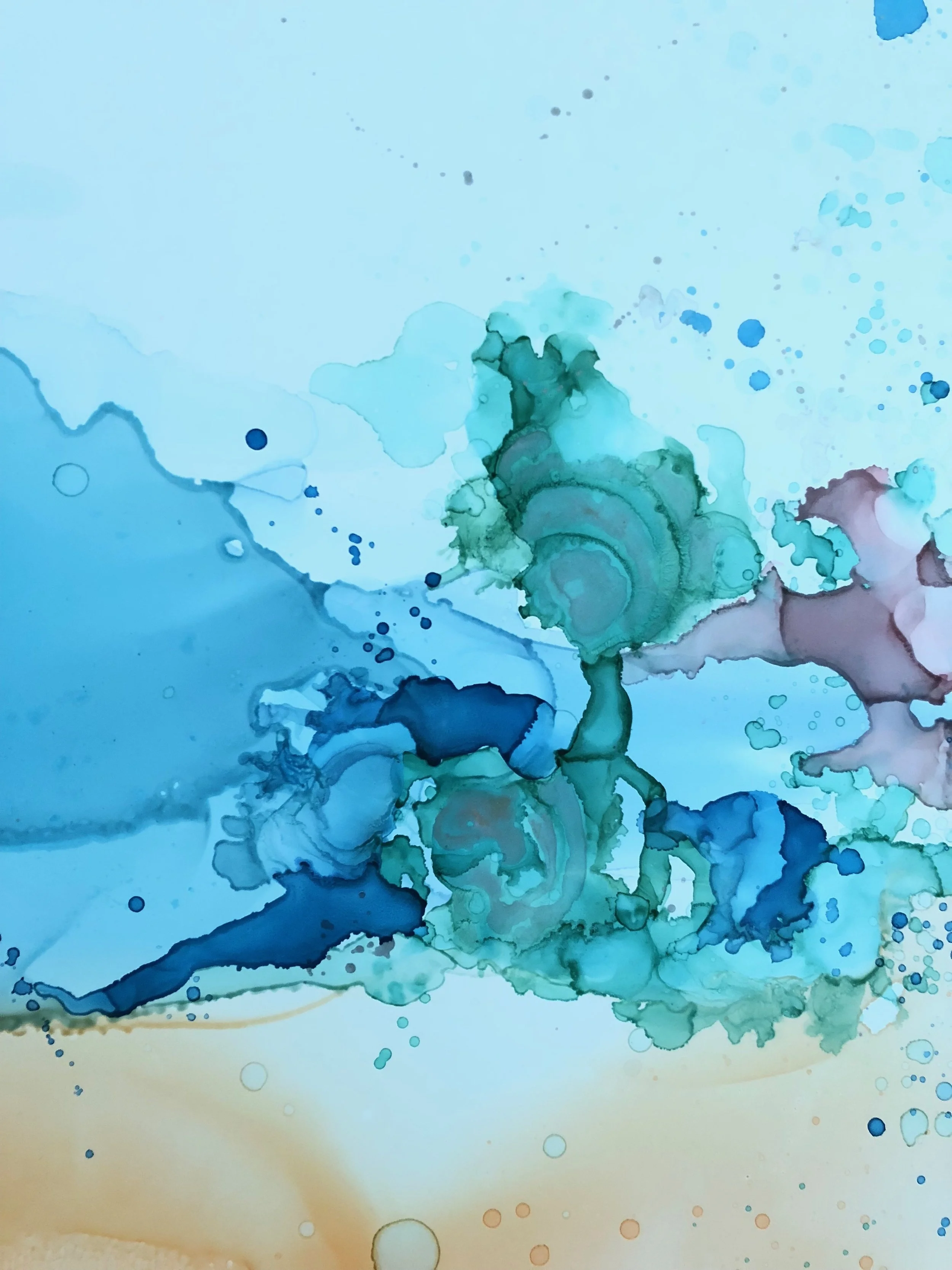 File Aug 09, 4 02 27 PM.jpeg