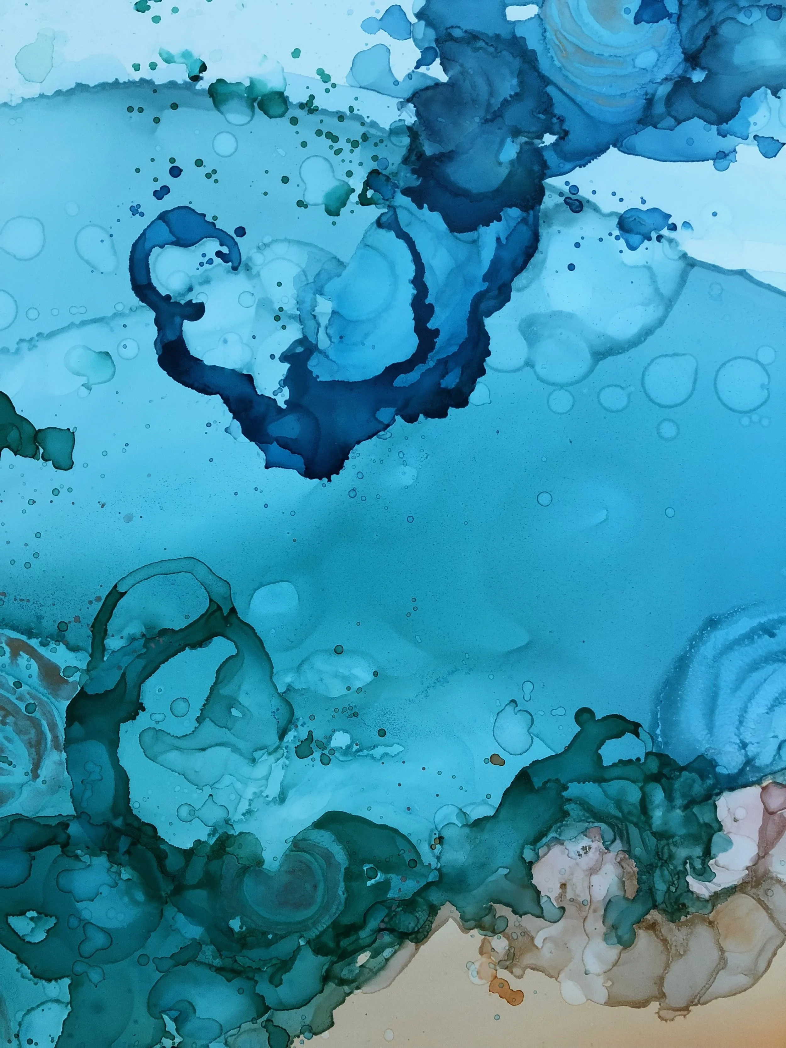 File Aug 09, 4 03 45 PM.jpeg