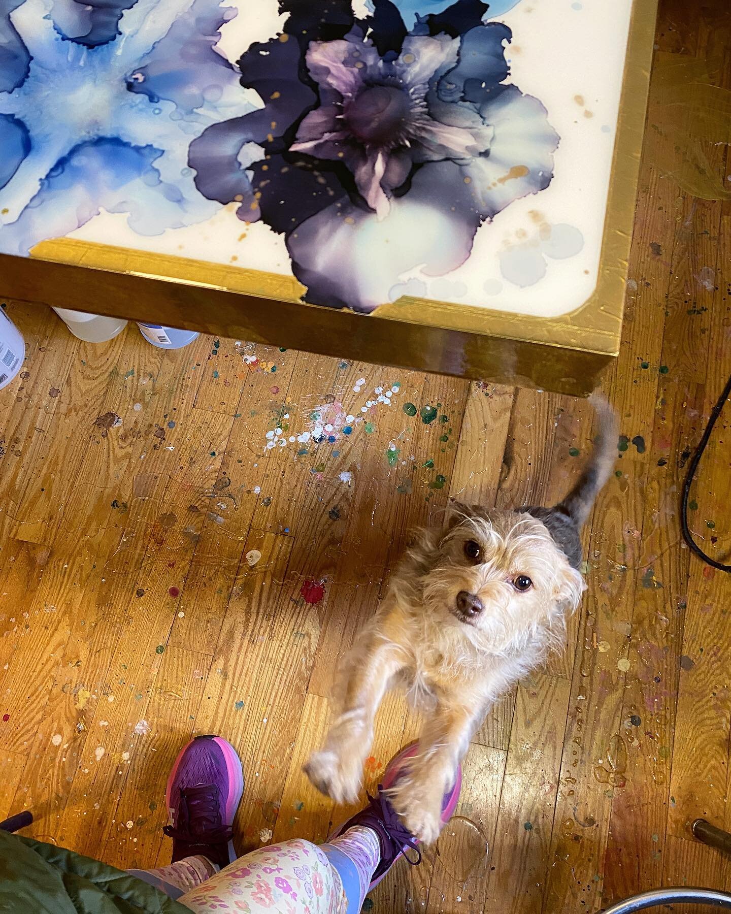 This morning I made the grave mistake of saying the word &ldquo;walk&rdquo; before checking on the resin curing status. 🐕 
&bull;
&bull;
&bull;
&bull;
#workinprogress #amandamoodyart #contemporaryfloral
#resin #contemporaryartist #commissionedart #l