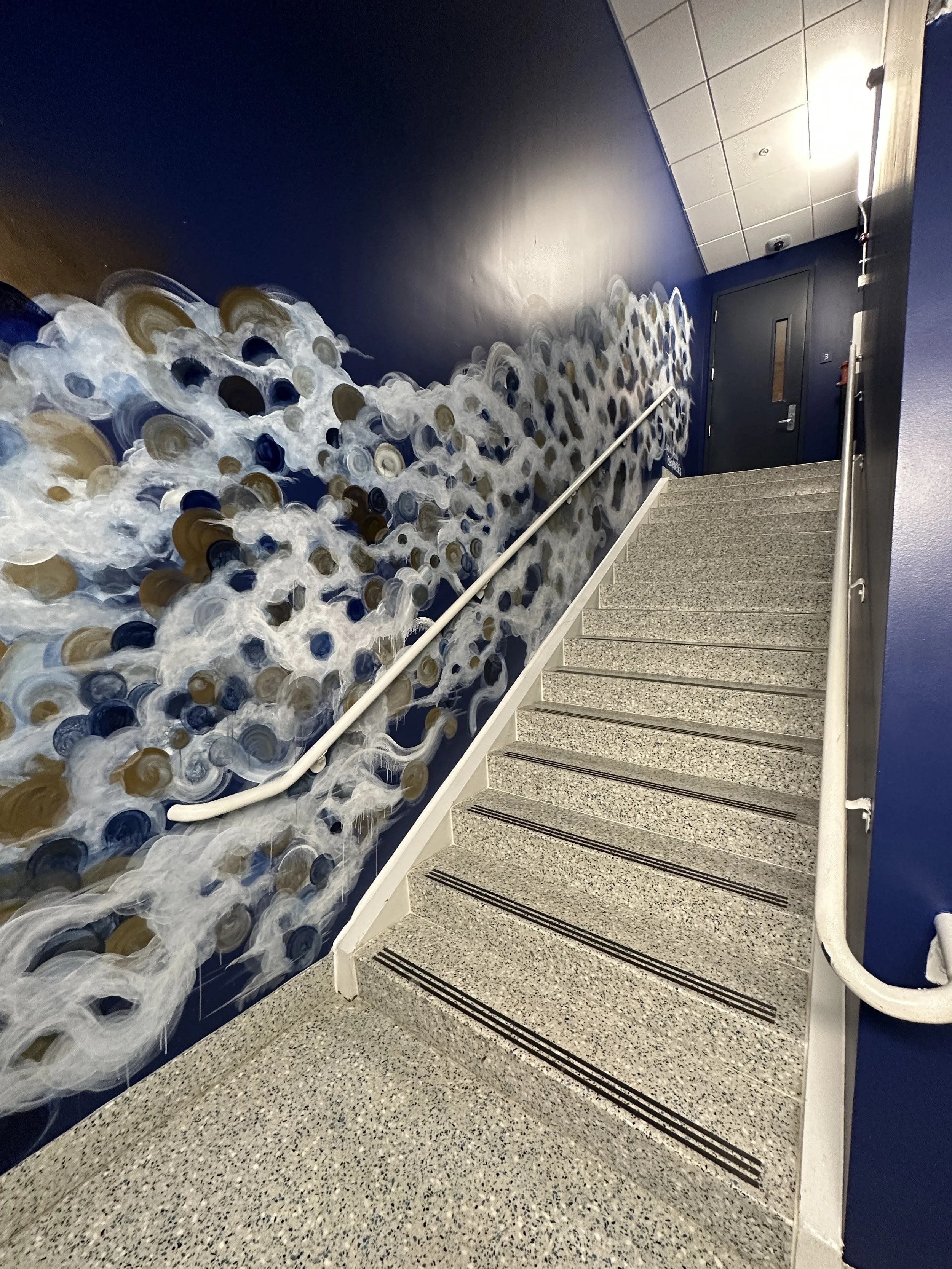 amanda moody american express centurion lounge hand painted wall mural Charlotte Douglas International Airport, NC