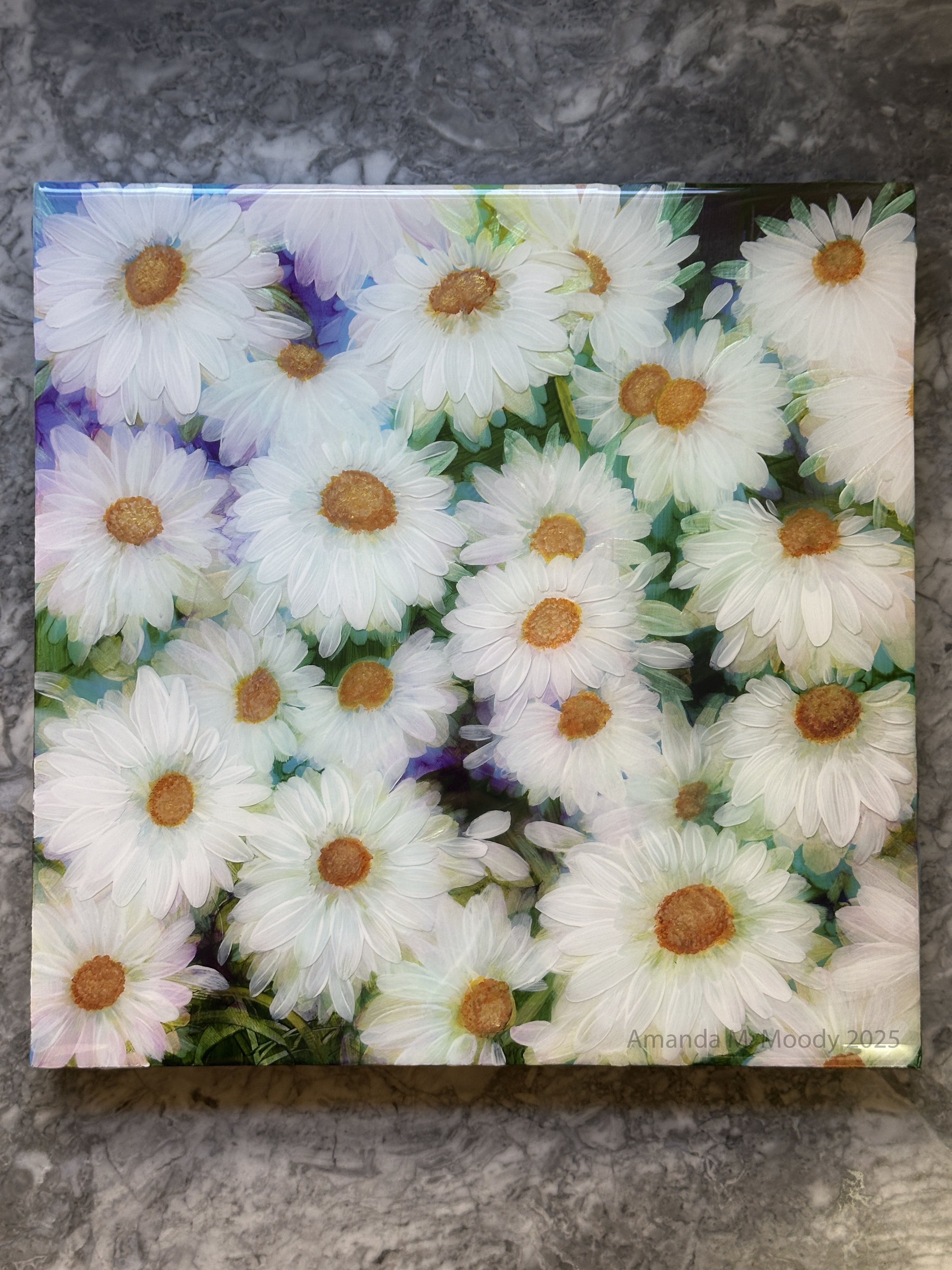 rainbow daisies.jpg