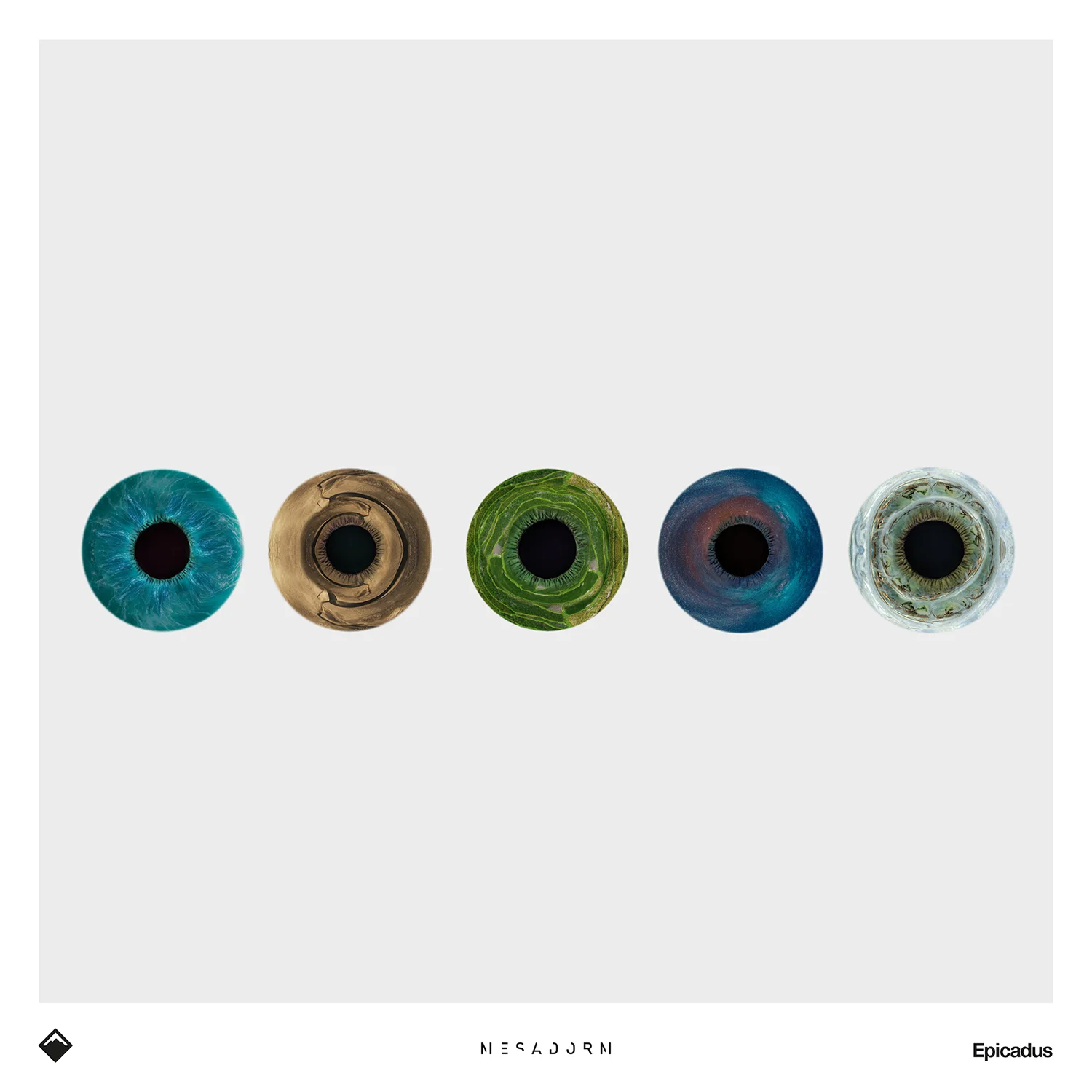 Mesadorm_Epicadus_Spotify_1500x1500.jpg