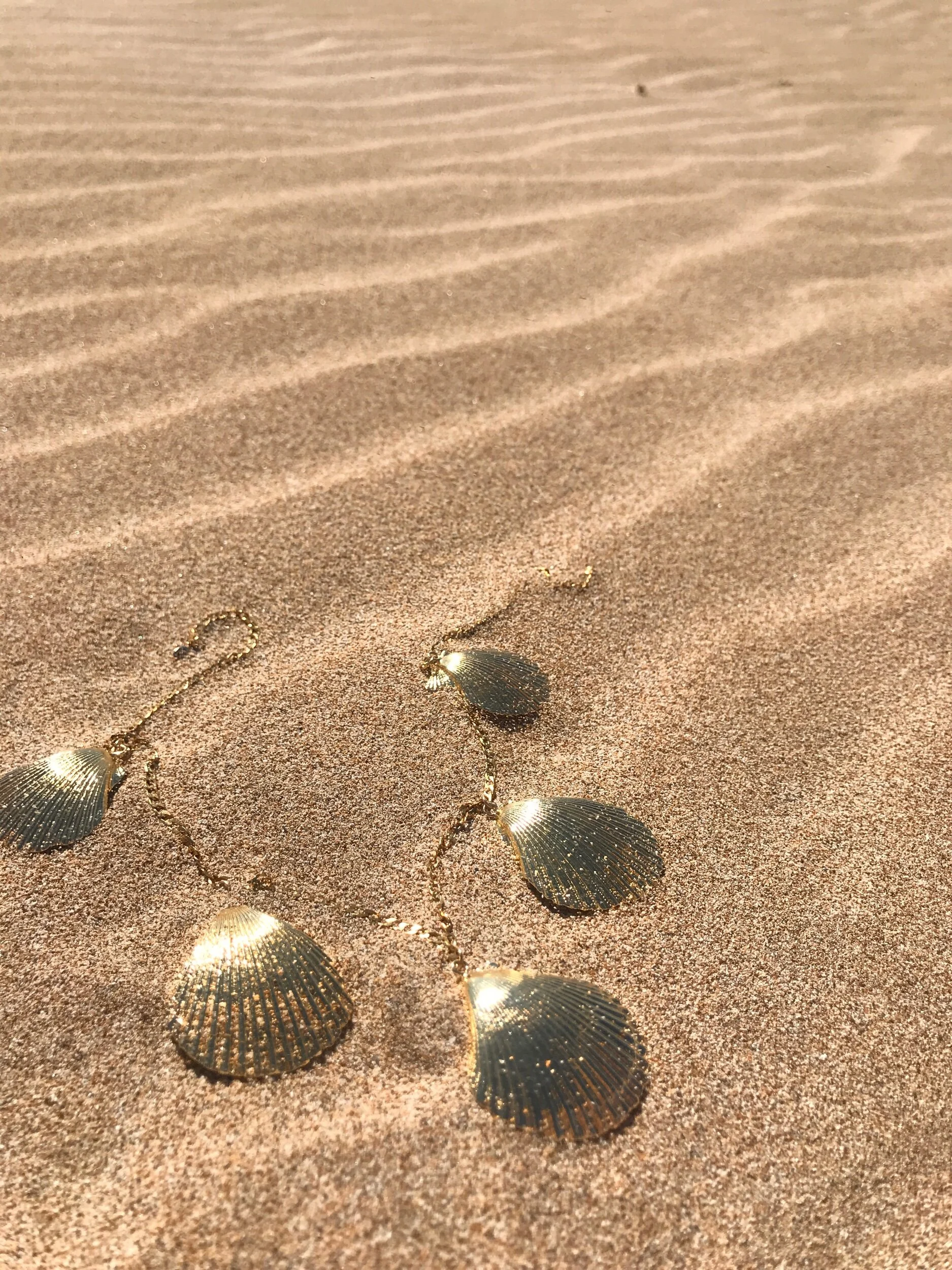 124F2A67-BF48-4BCF-B416-D7FDF5AD0C68