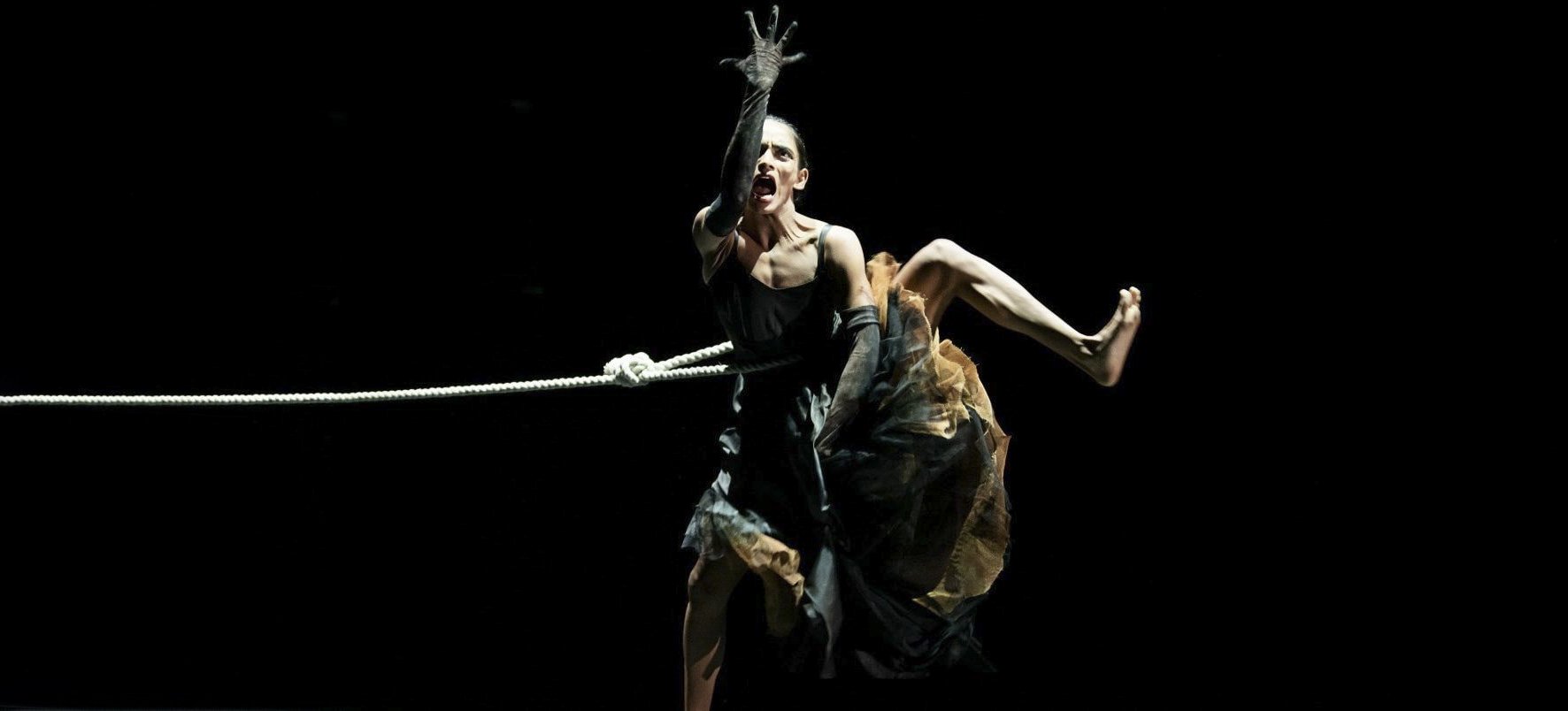 Cerberus Extended.jpg