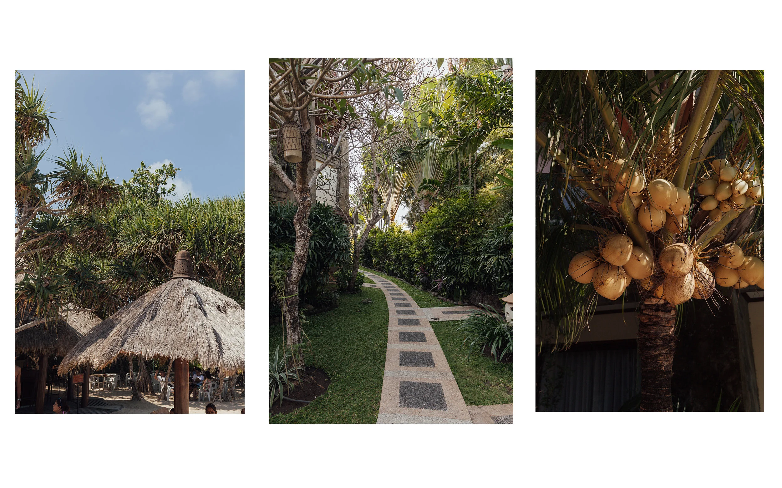 BALI2.jpg