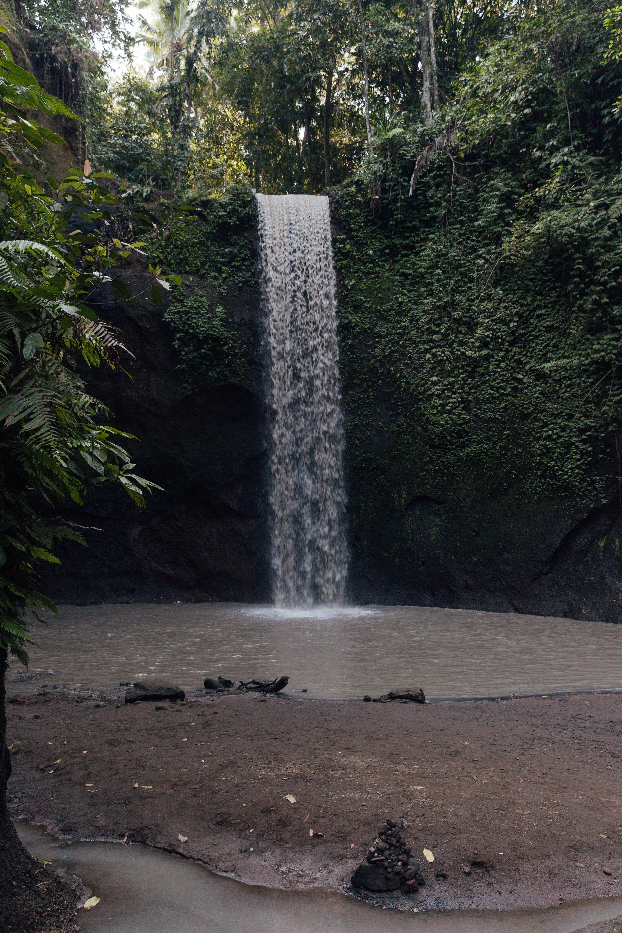 _MG_3018.jpg