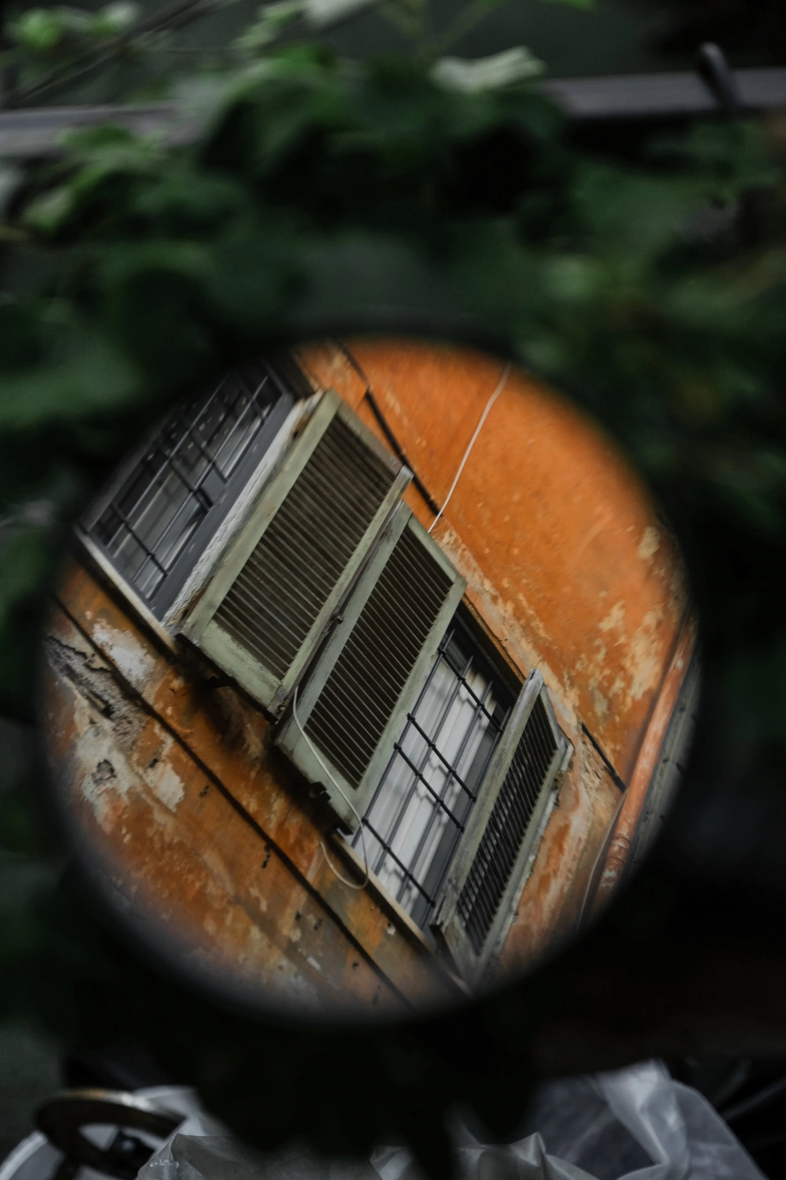 DSCF6364.jpg