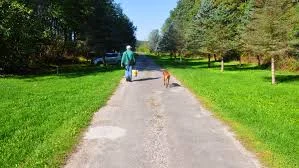walk dog.jpg