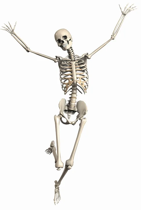 skeleton.jpg