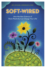 Soft Wired.png
