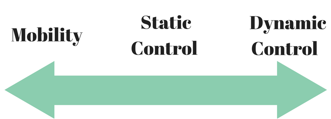  The Mobility - Motor Control Continuum
