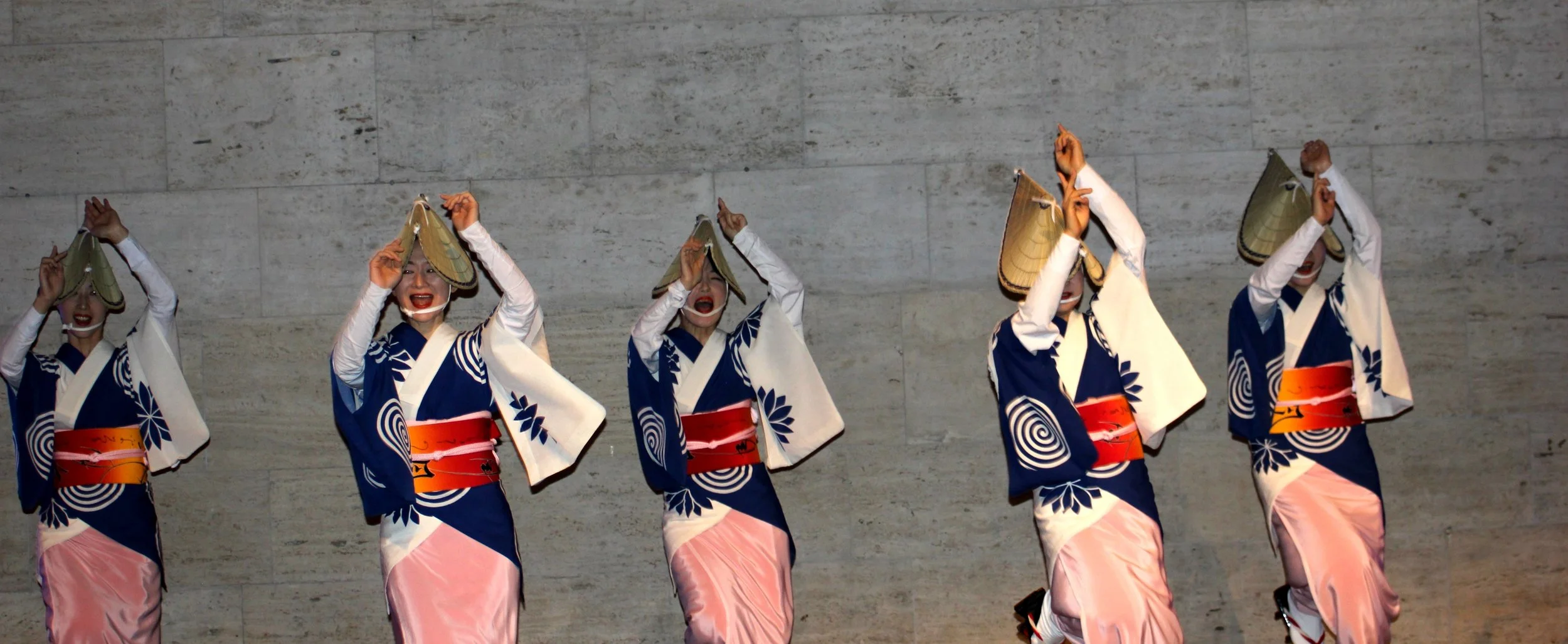 Detroit Institute of Arts: Japan Gallery Opening Reception