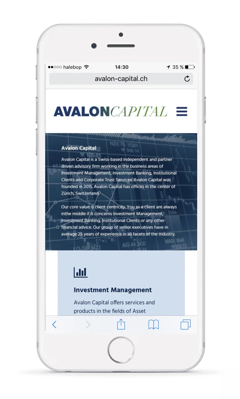 avalon-capital.ch.001 kopia.jpeg