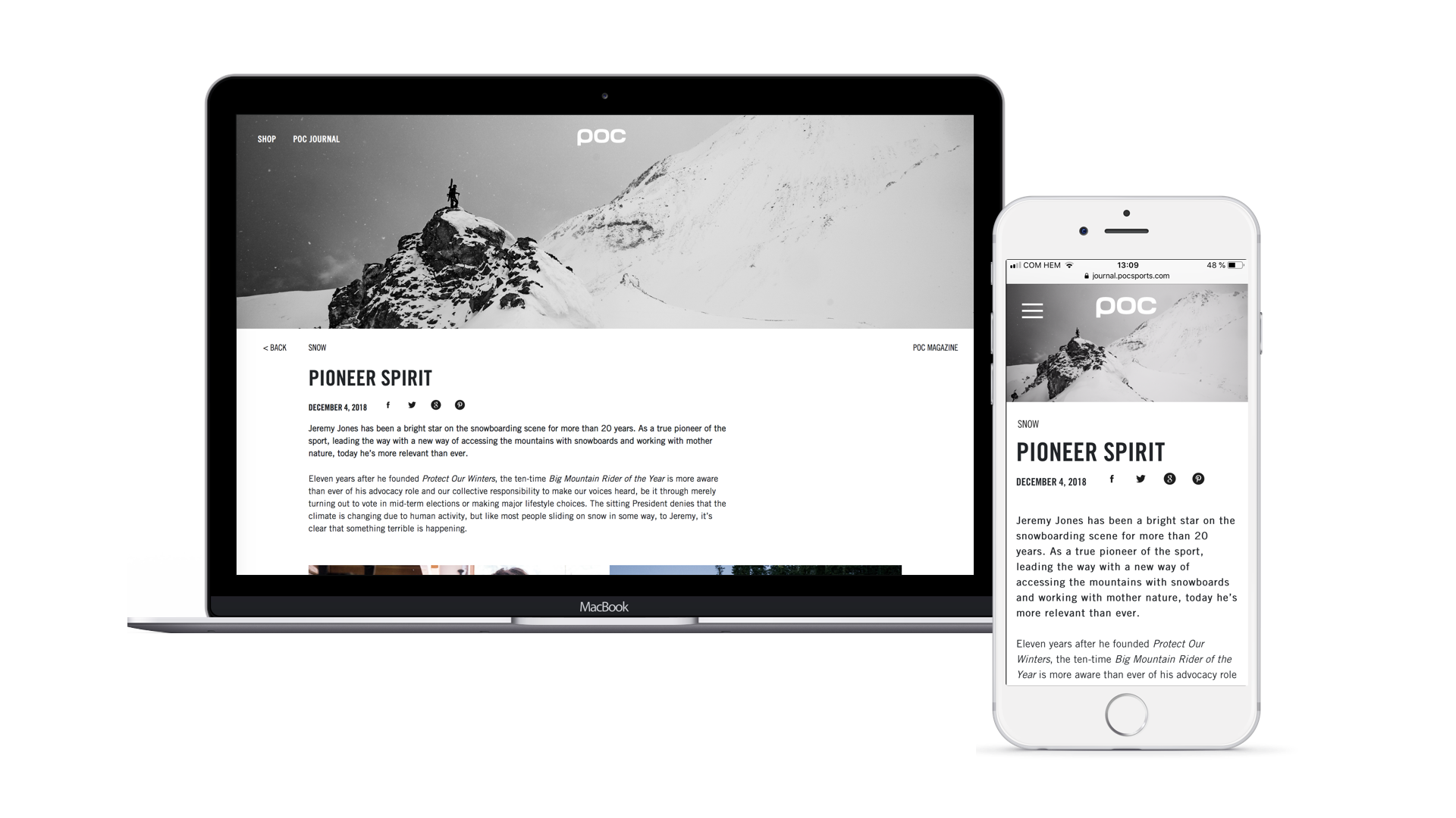 Poc journal article 1.png