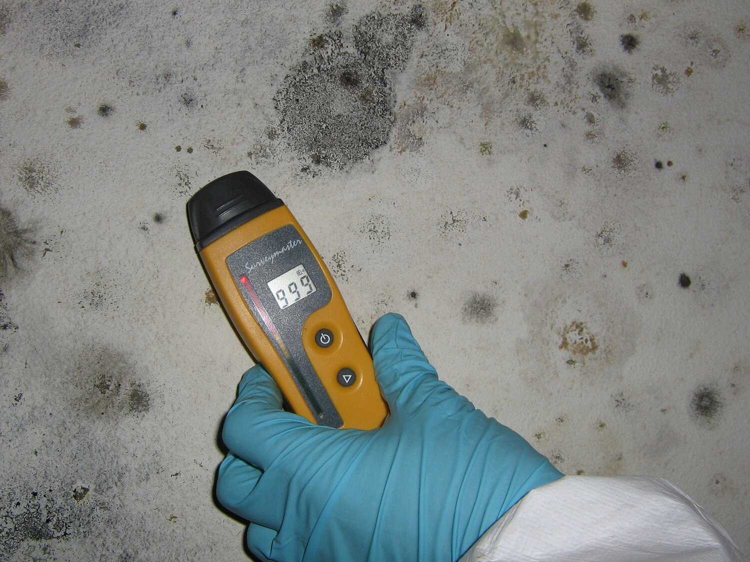 Moisture Meters for Mold Prevention