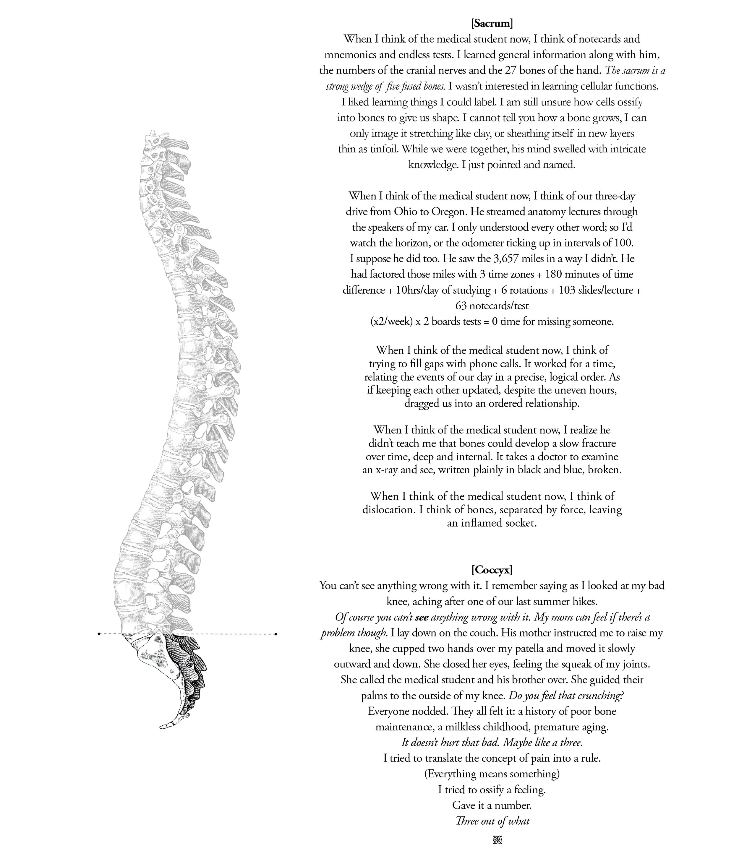 TNS019_Dislocation7.jpg