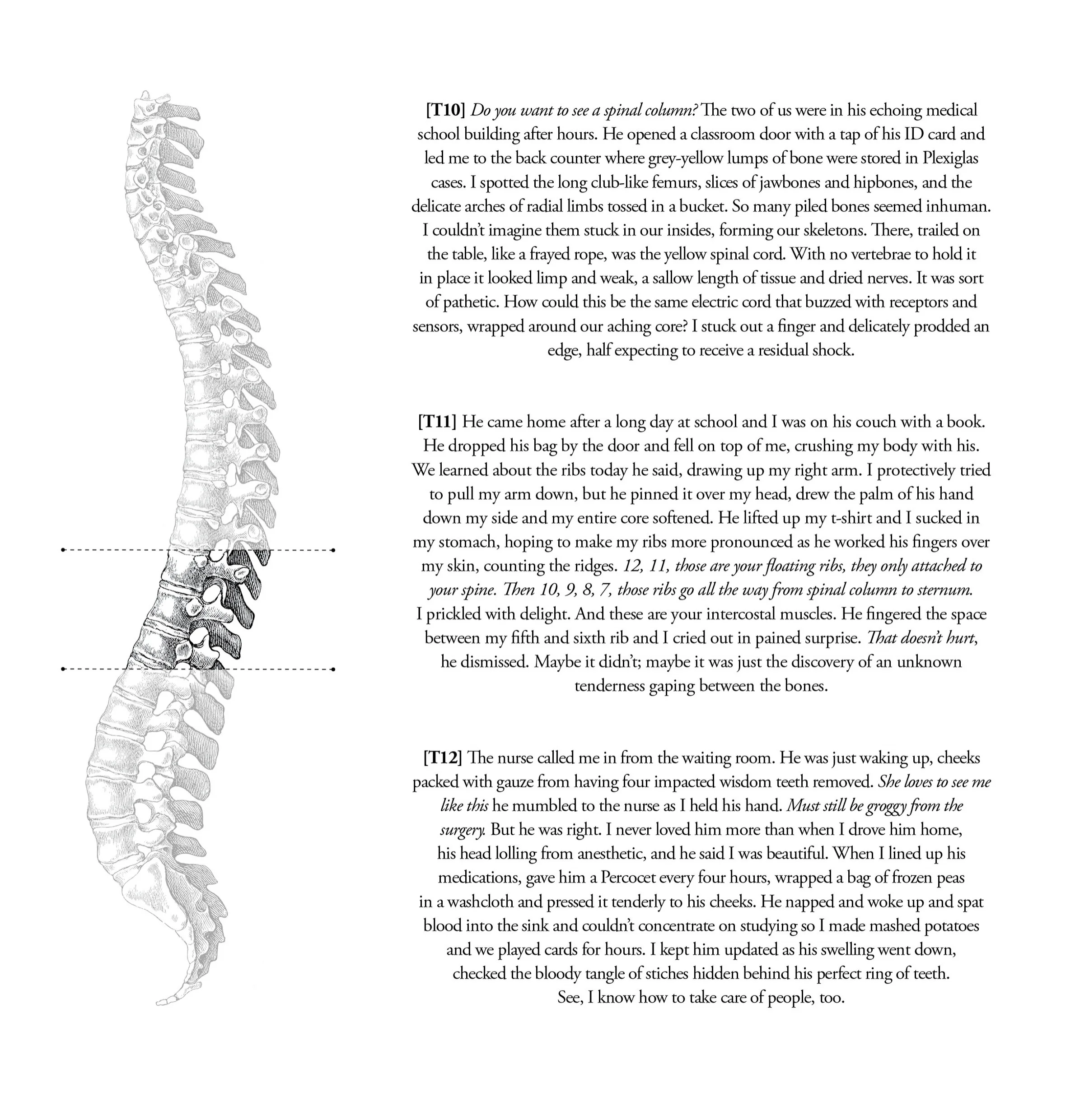 TNS019_Dislocation4.jpg