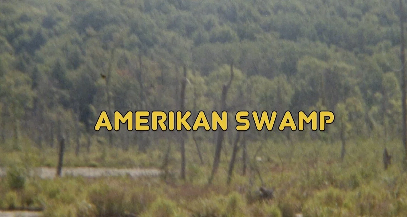 Amerikan Swamp by Sonya Bilocerkowycz and Chris Stevens