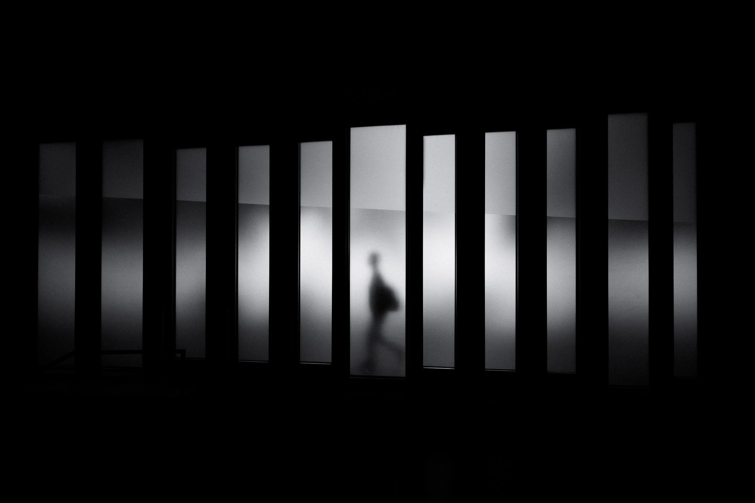 Shadow Work by Soramimi Hanarejima