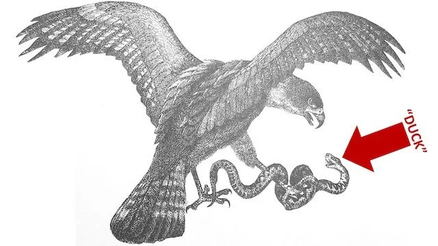 Of Eagles, Goats, and Space Men by Patrick Madden