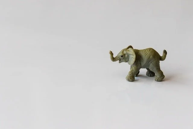 The Elephant by Riley Kross