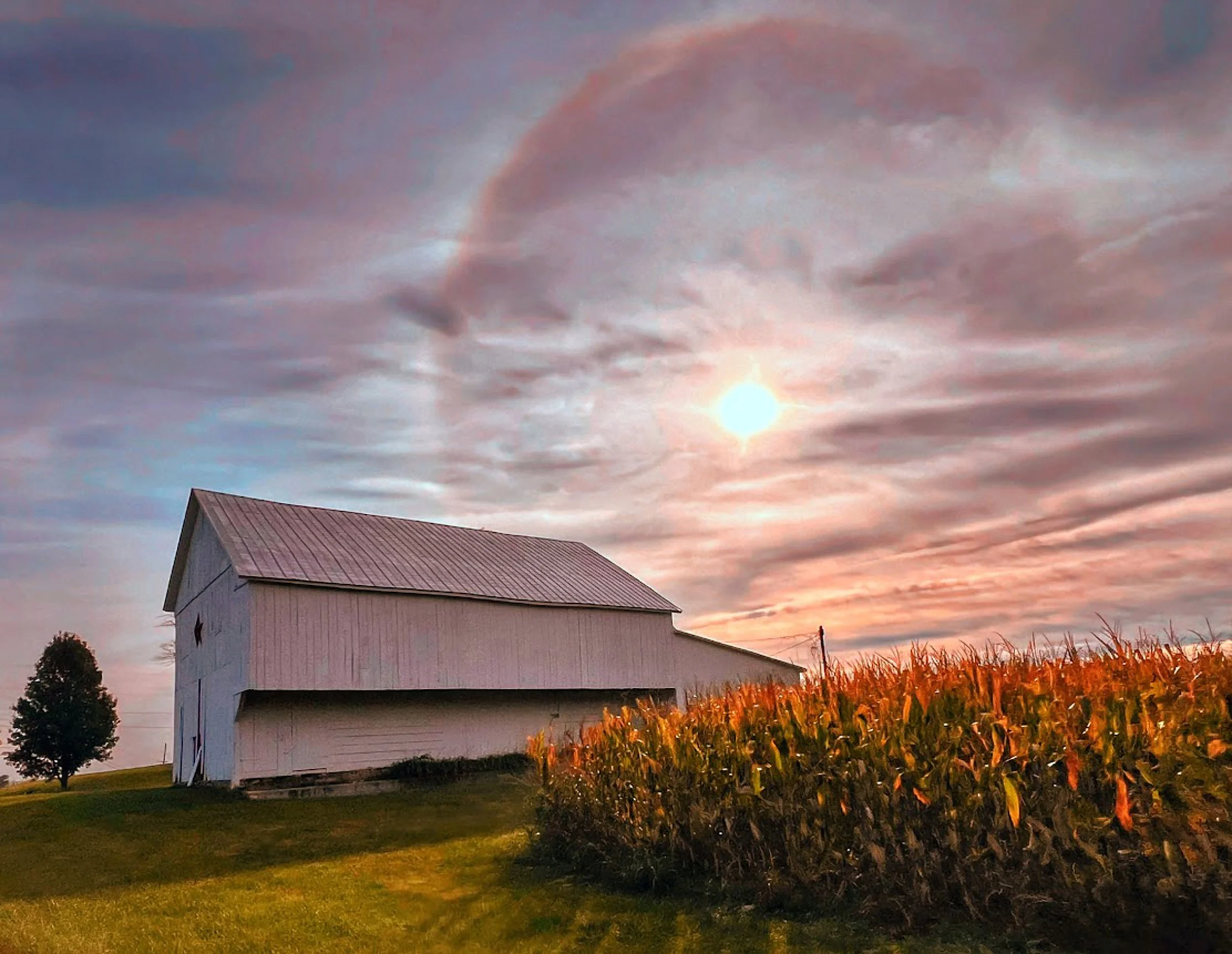 Sundog_Over_Barn_and_Cornfield.jpg