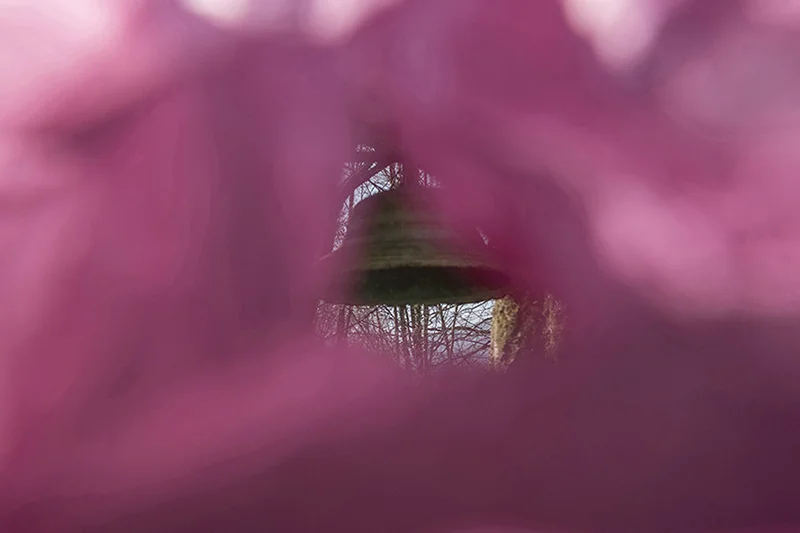 maudveuillotte-reves2.jpg