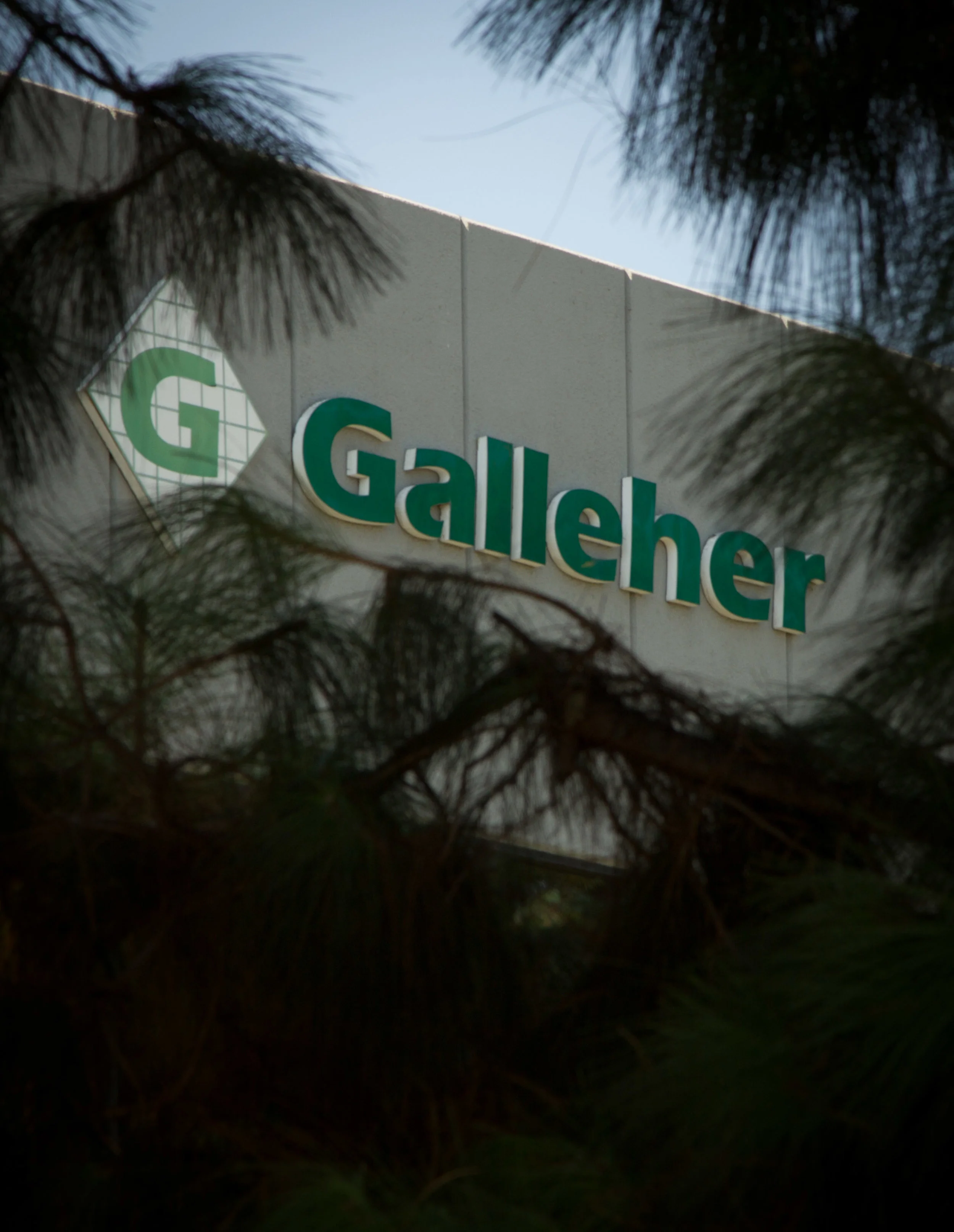 galleherWEB-1535.jpg
