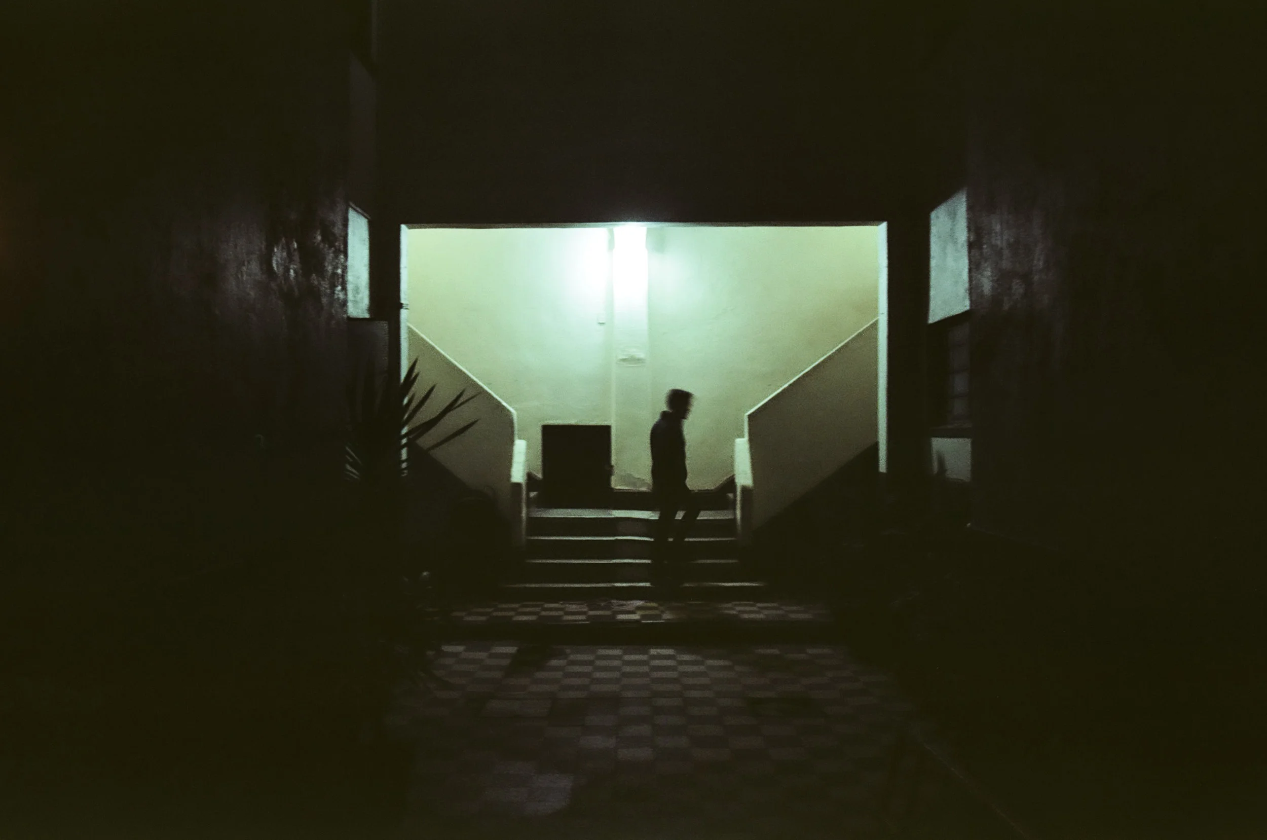 81410023.jpg