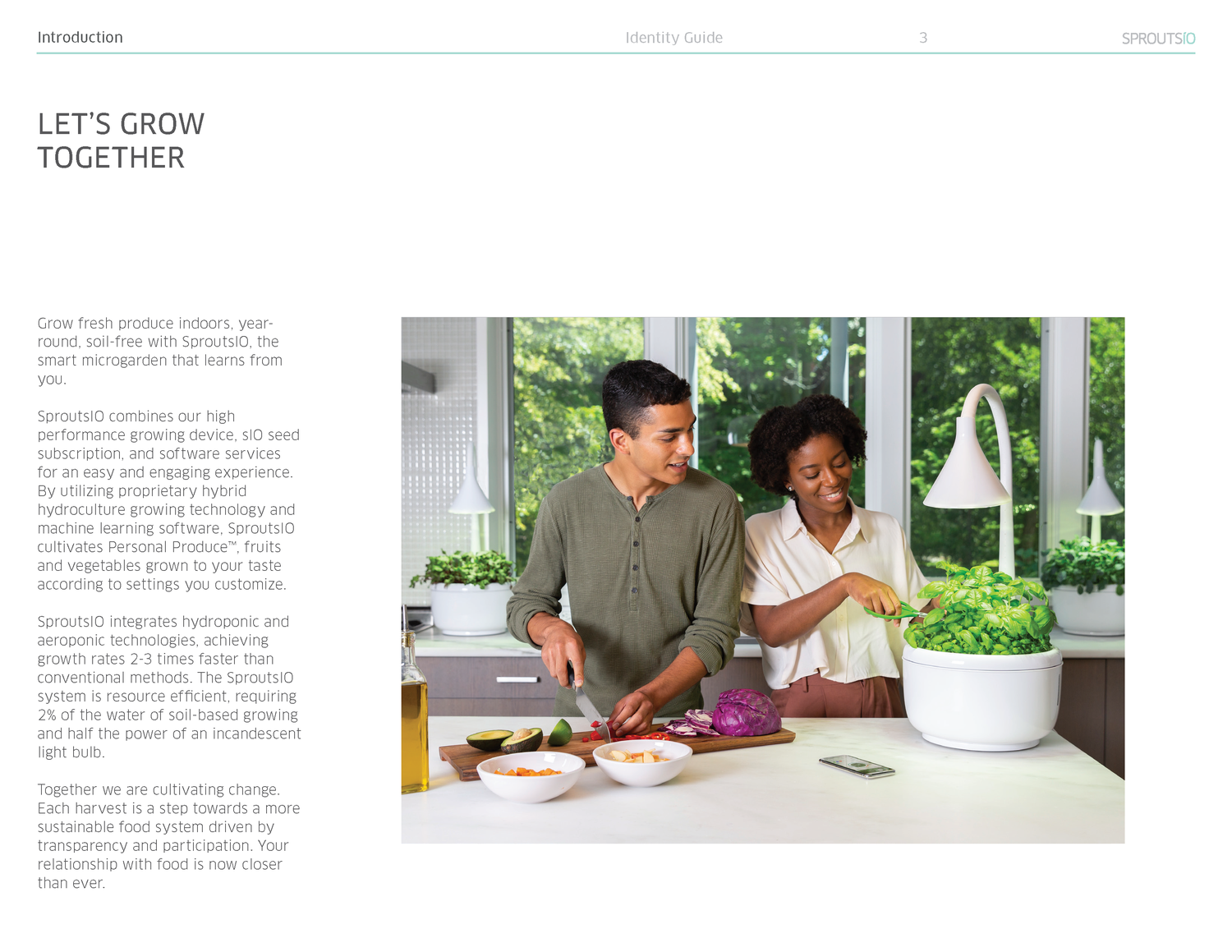 BrandGuide_2018_r4_Page_03.png