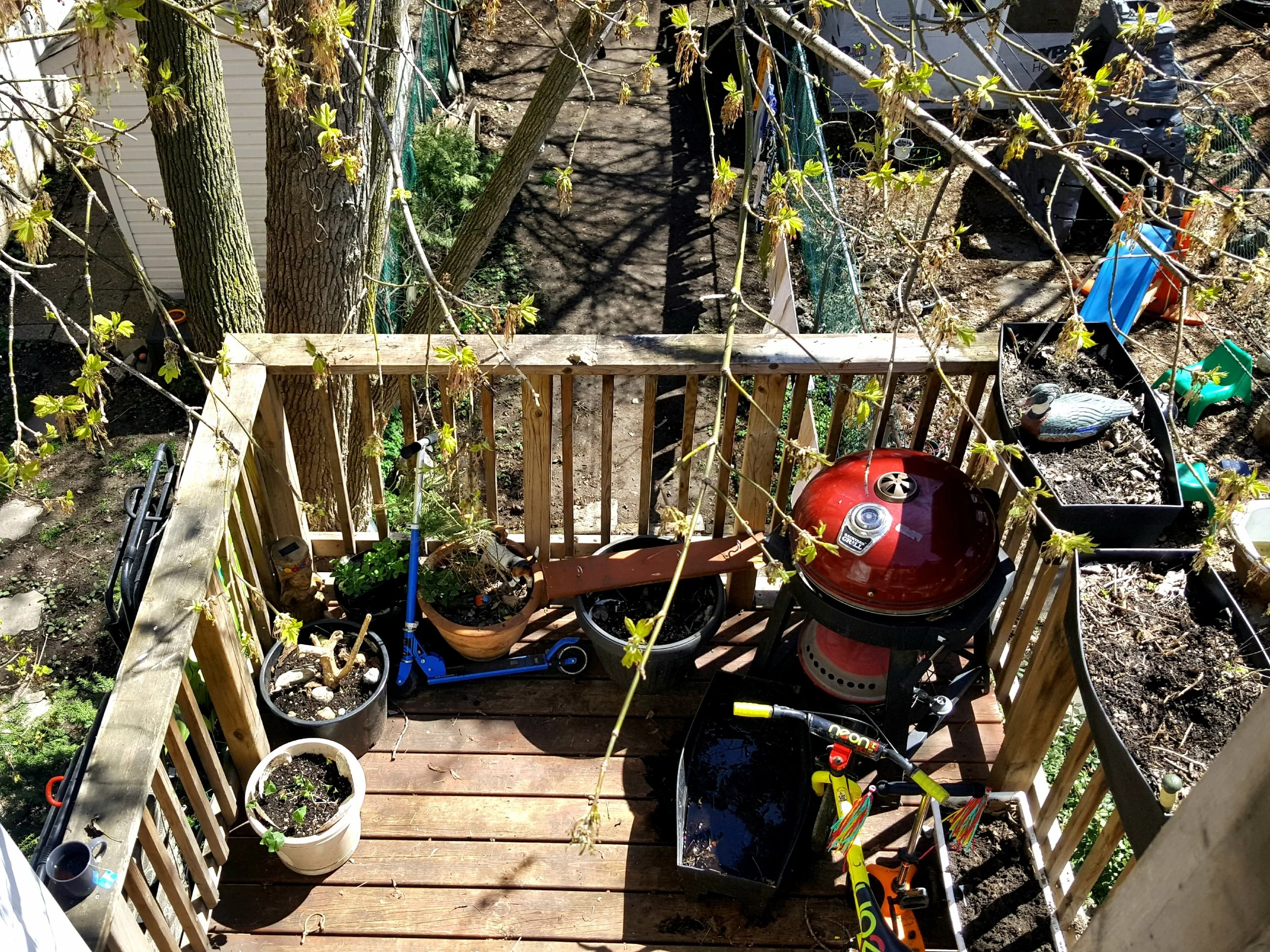 20190505_134855.jpg