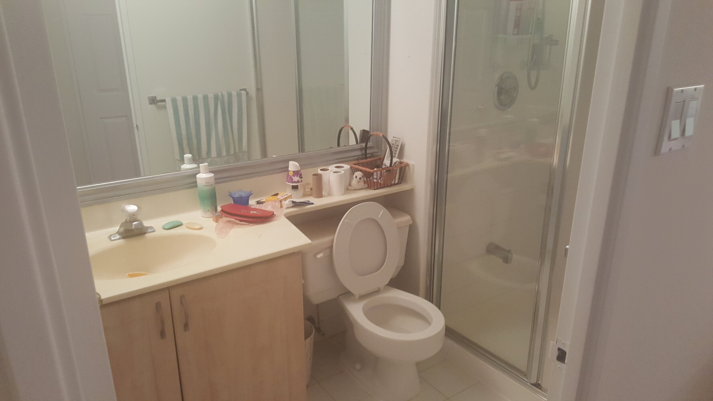 Bathroom BEFORE