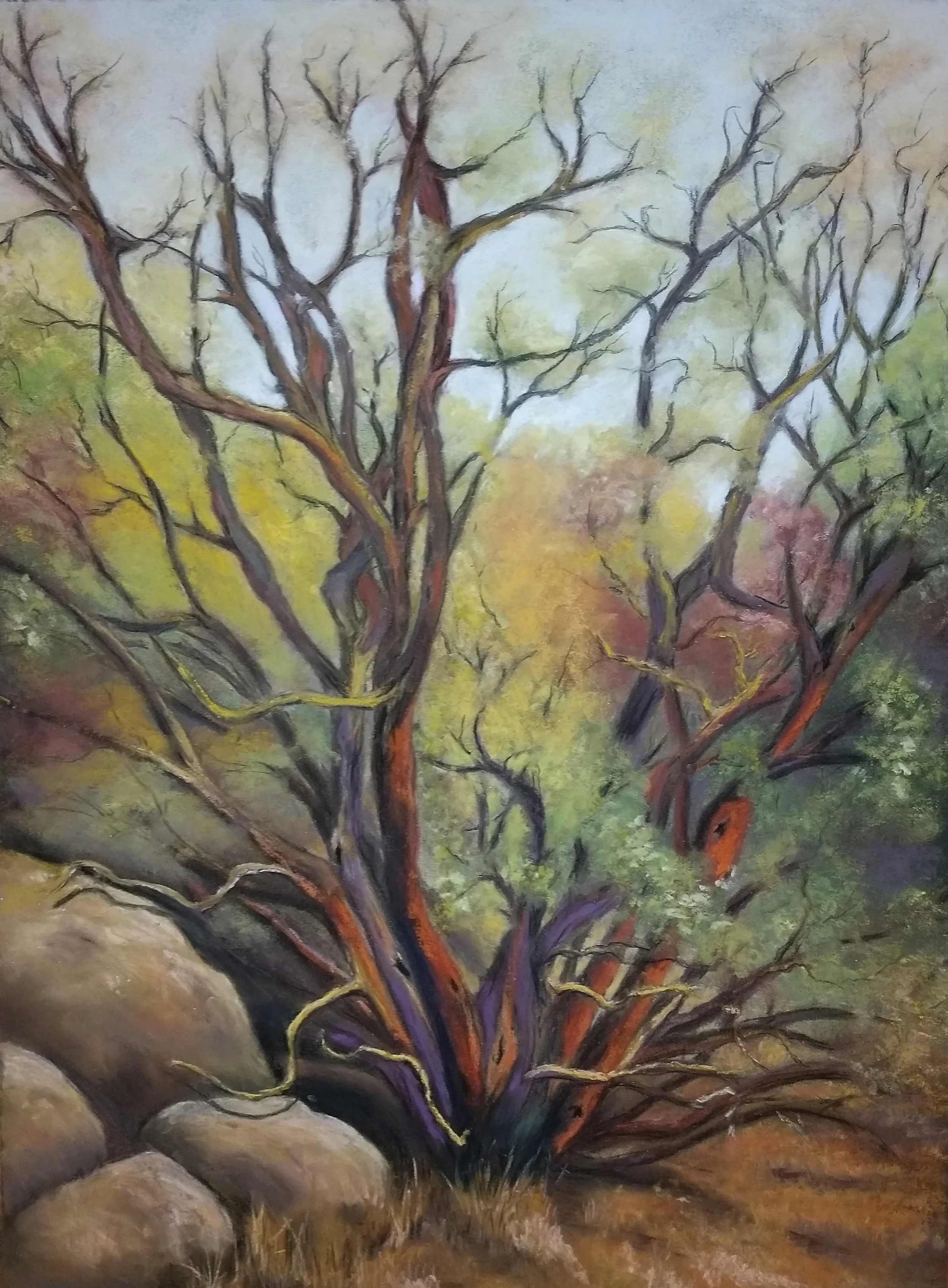 manzanita by Darlene Jaeger.jpg