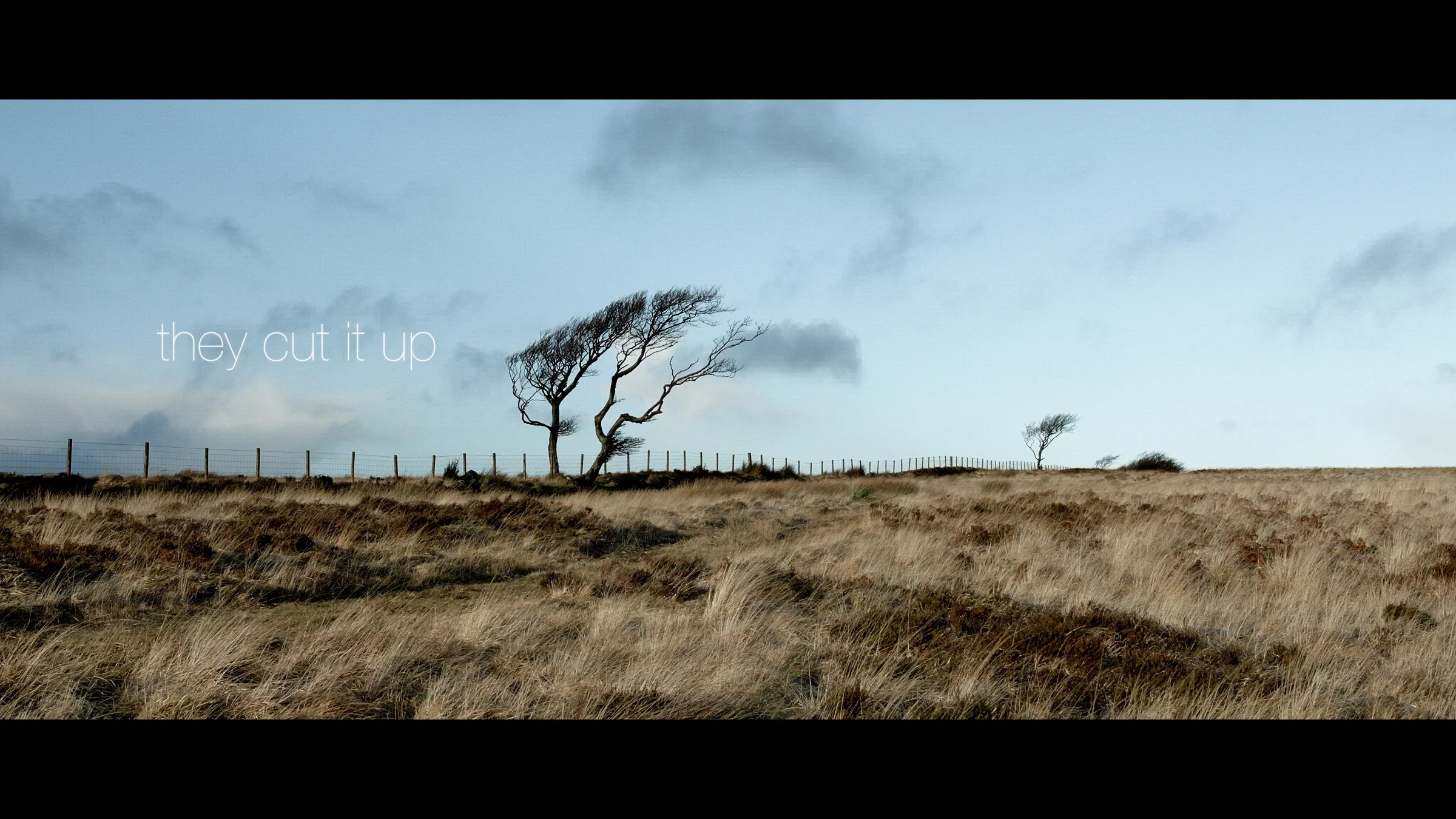 The Tangled Tree.jpg