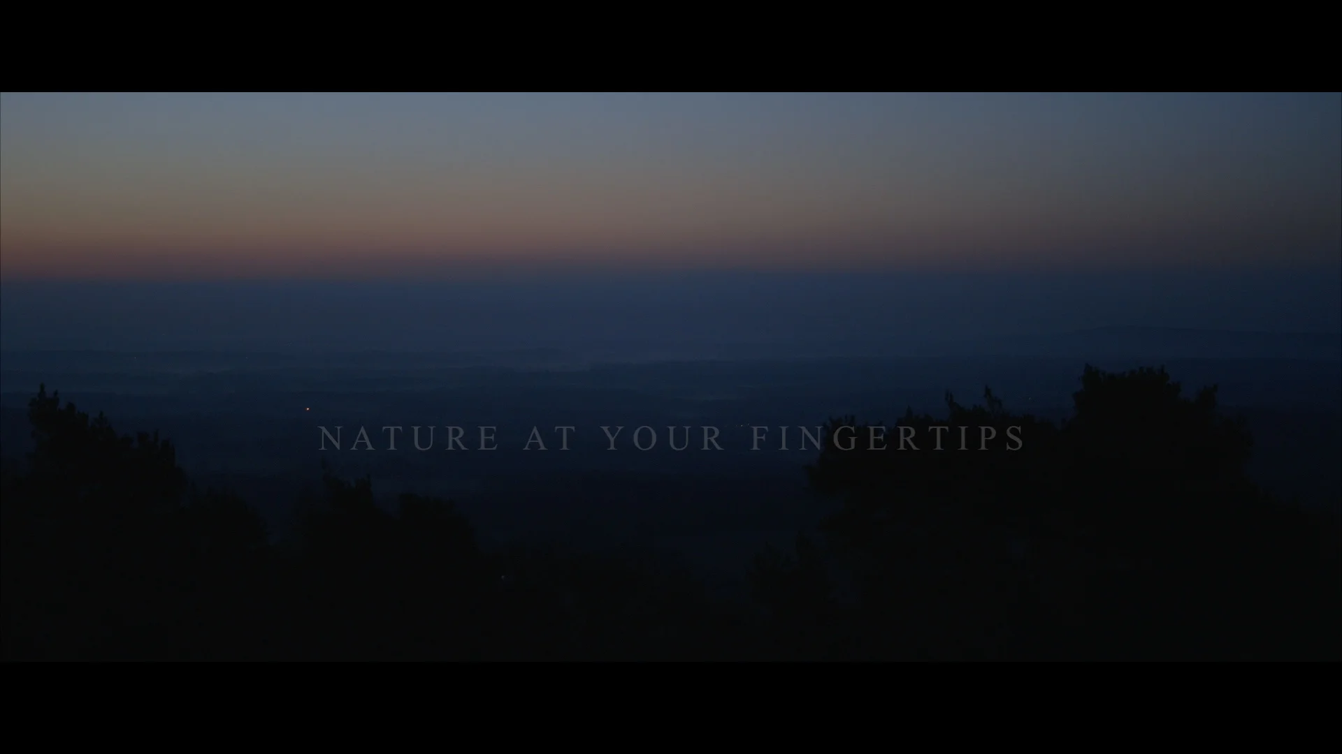 Nature at Your Fingertips.jpg