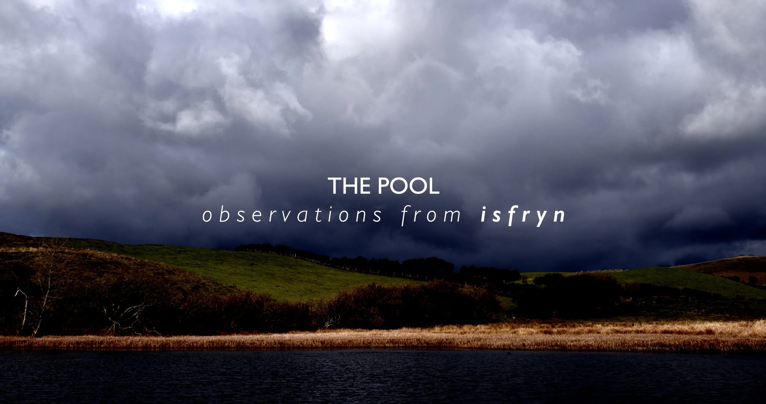 THE POOL