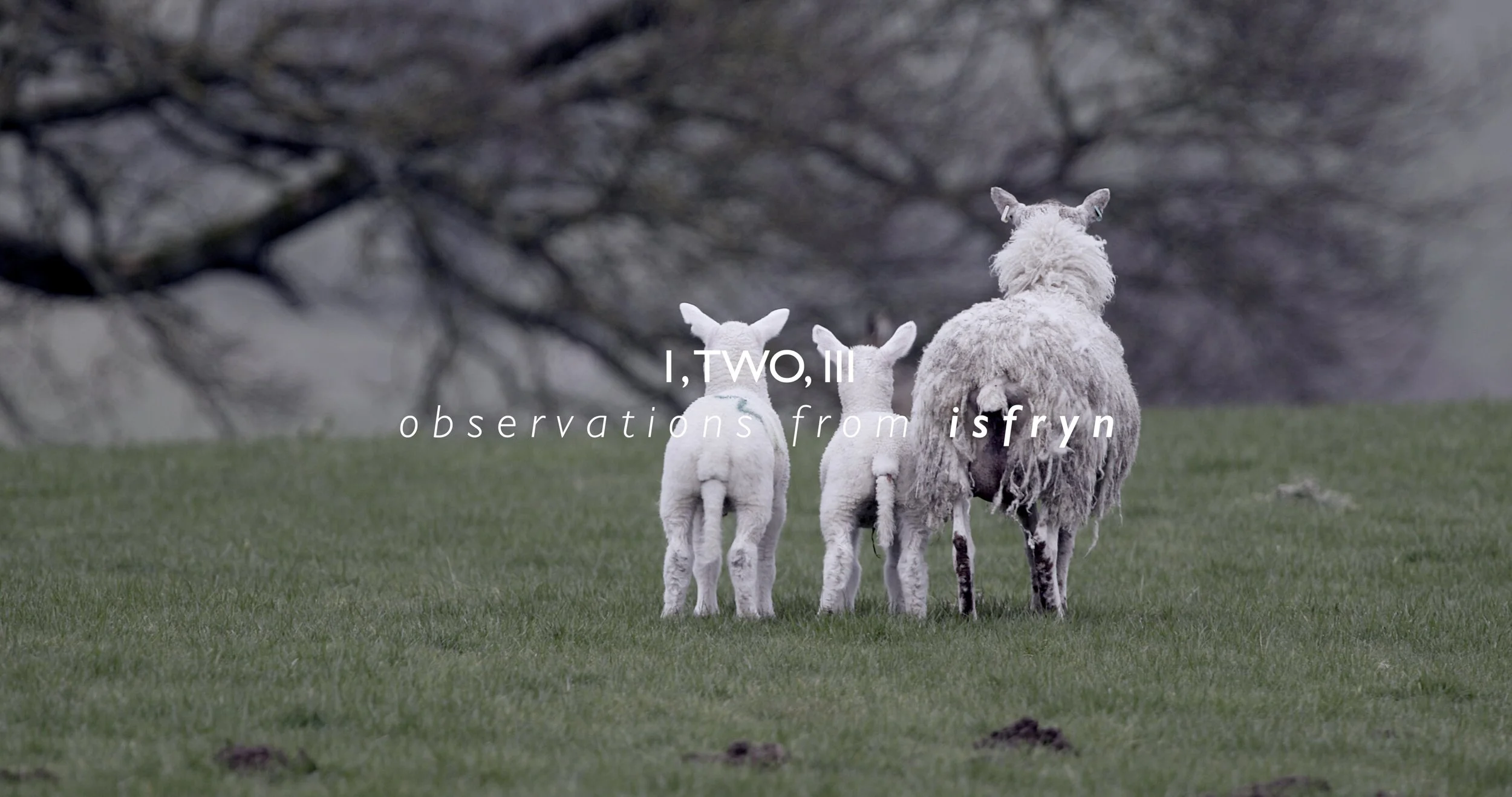 1, TWO, III