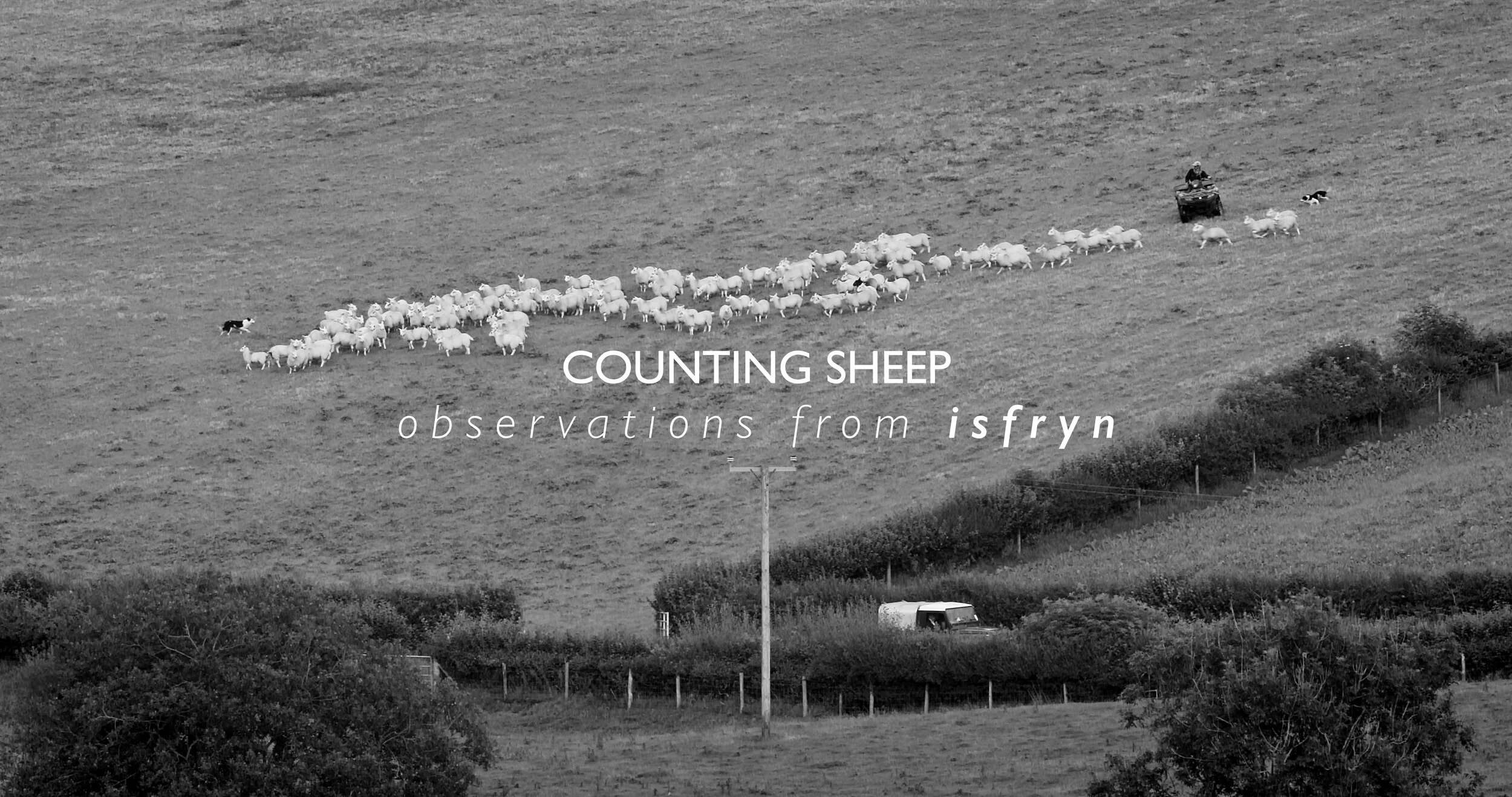 Counting Sheep.jpeg