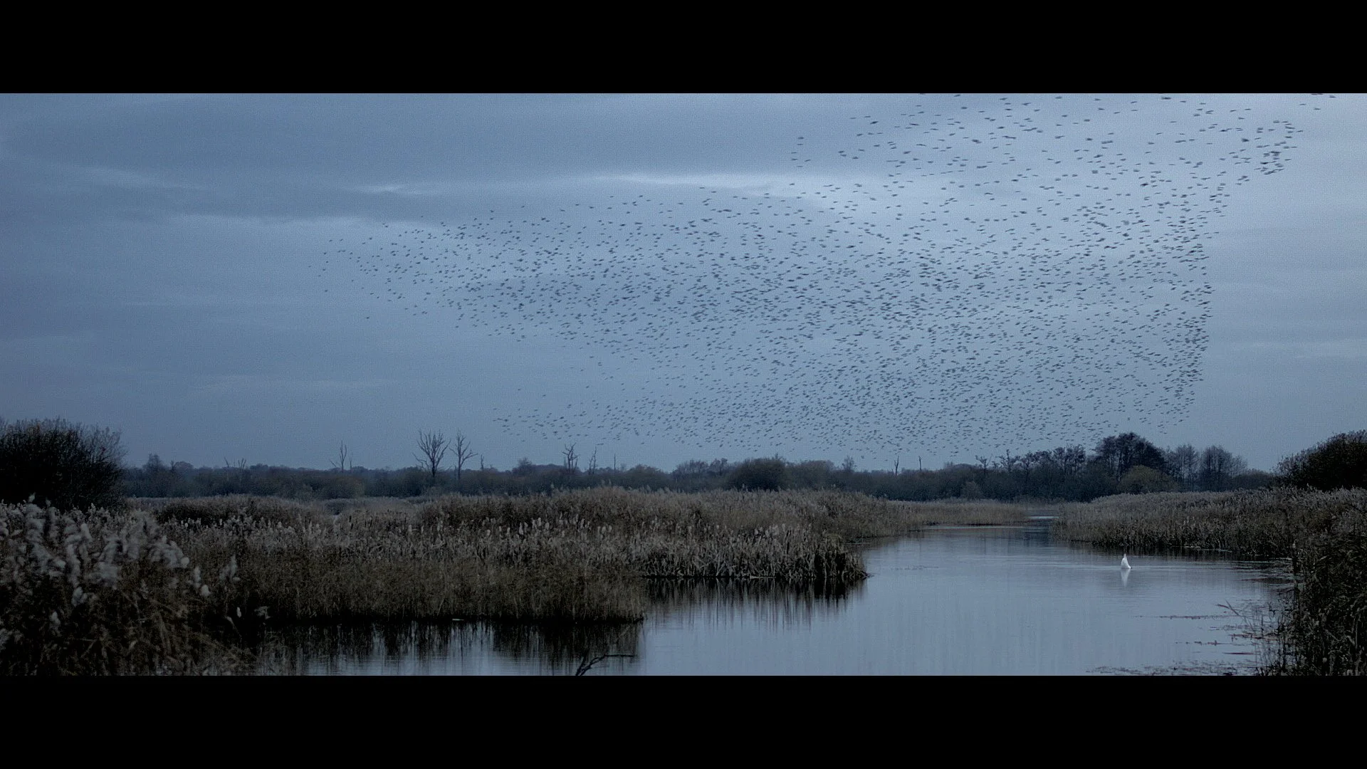 Dusk at Shapwick.jpeg