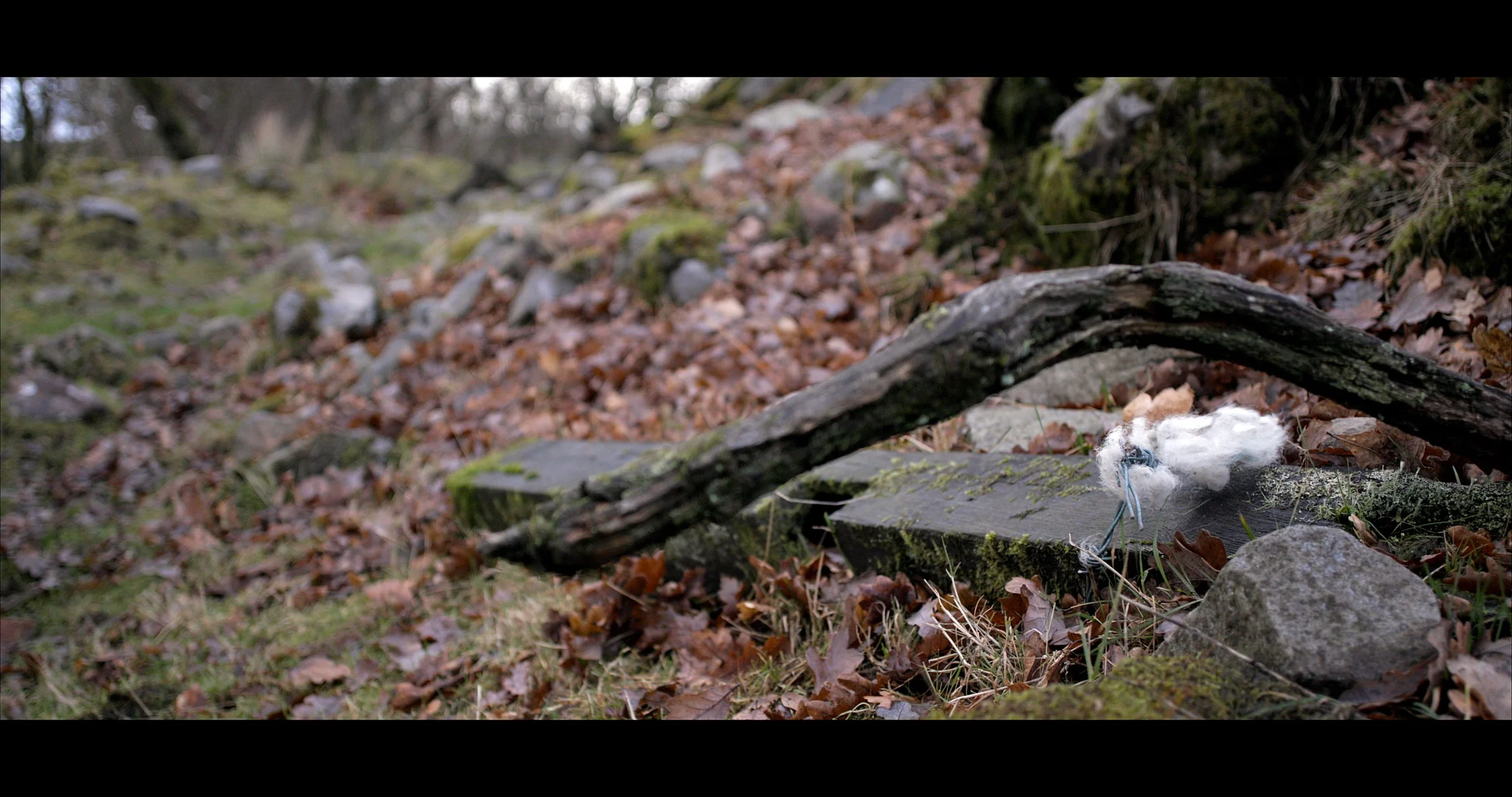 Fleece Painting.jpeg